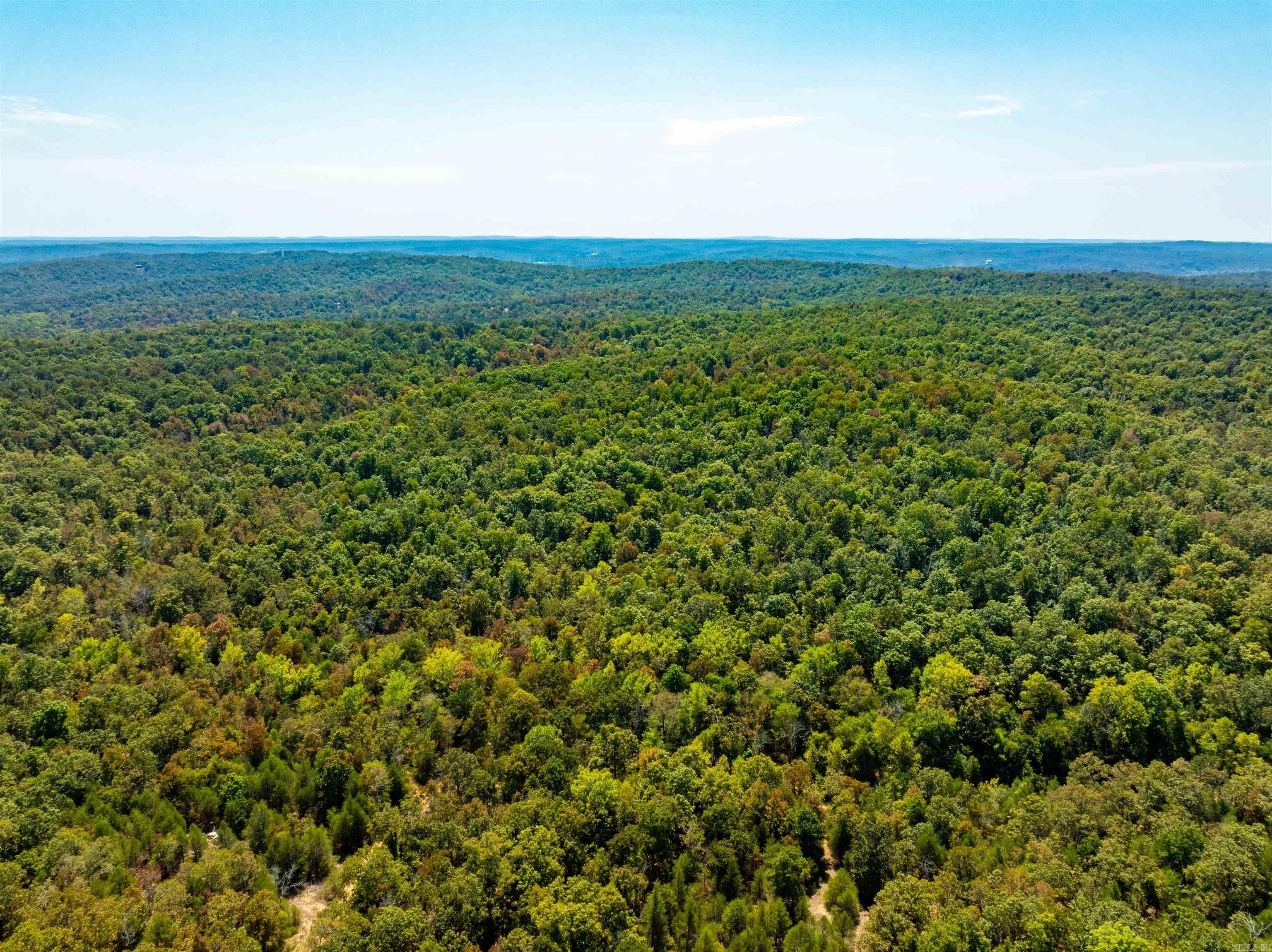 McFadden to the Bluffs - Land