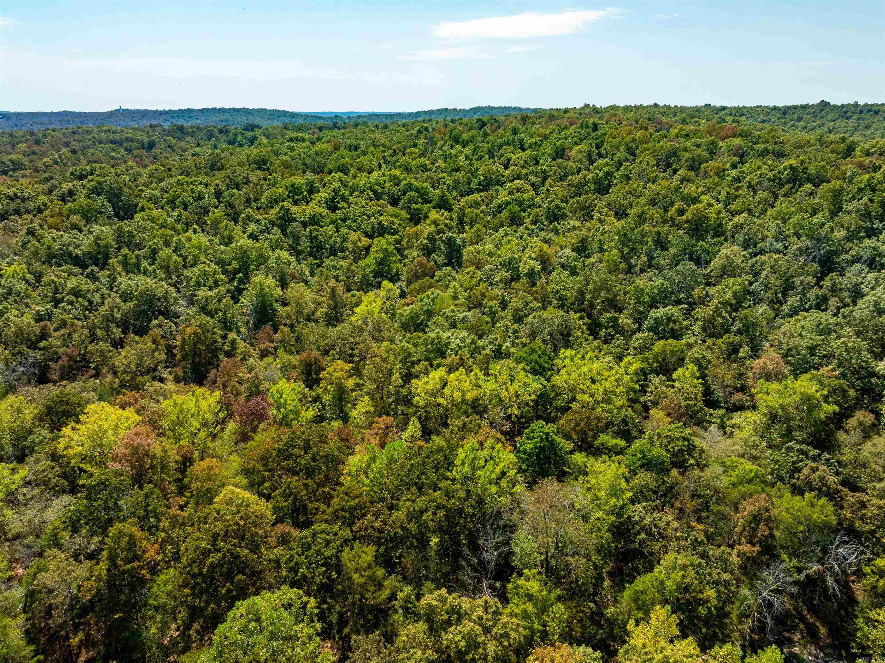 McFadden to the Bluffs - Land