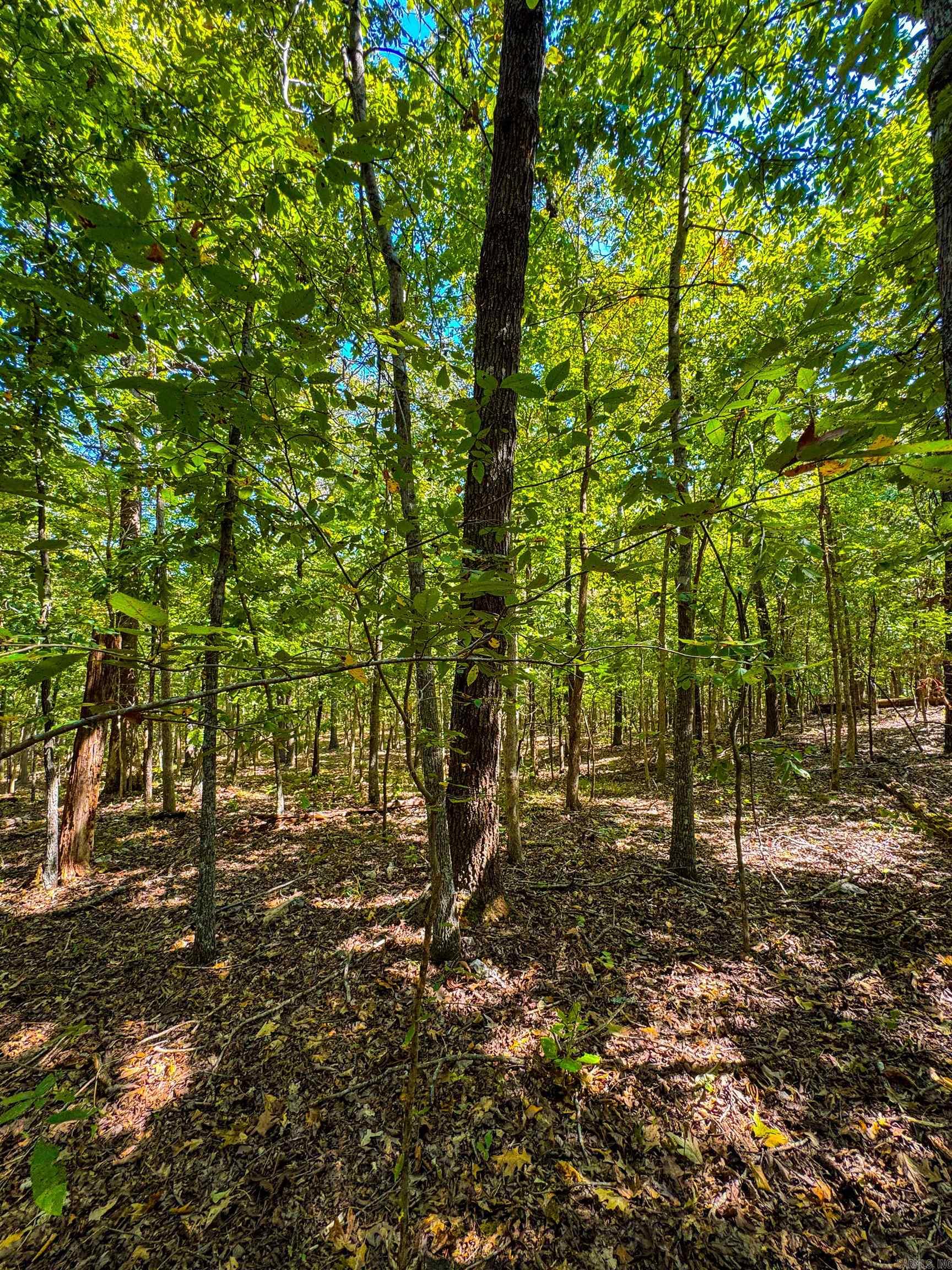 McFadden to the Bluffs - Land