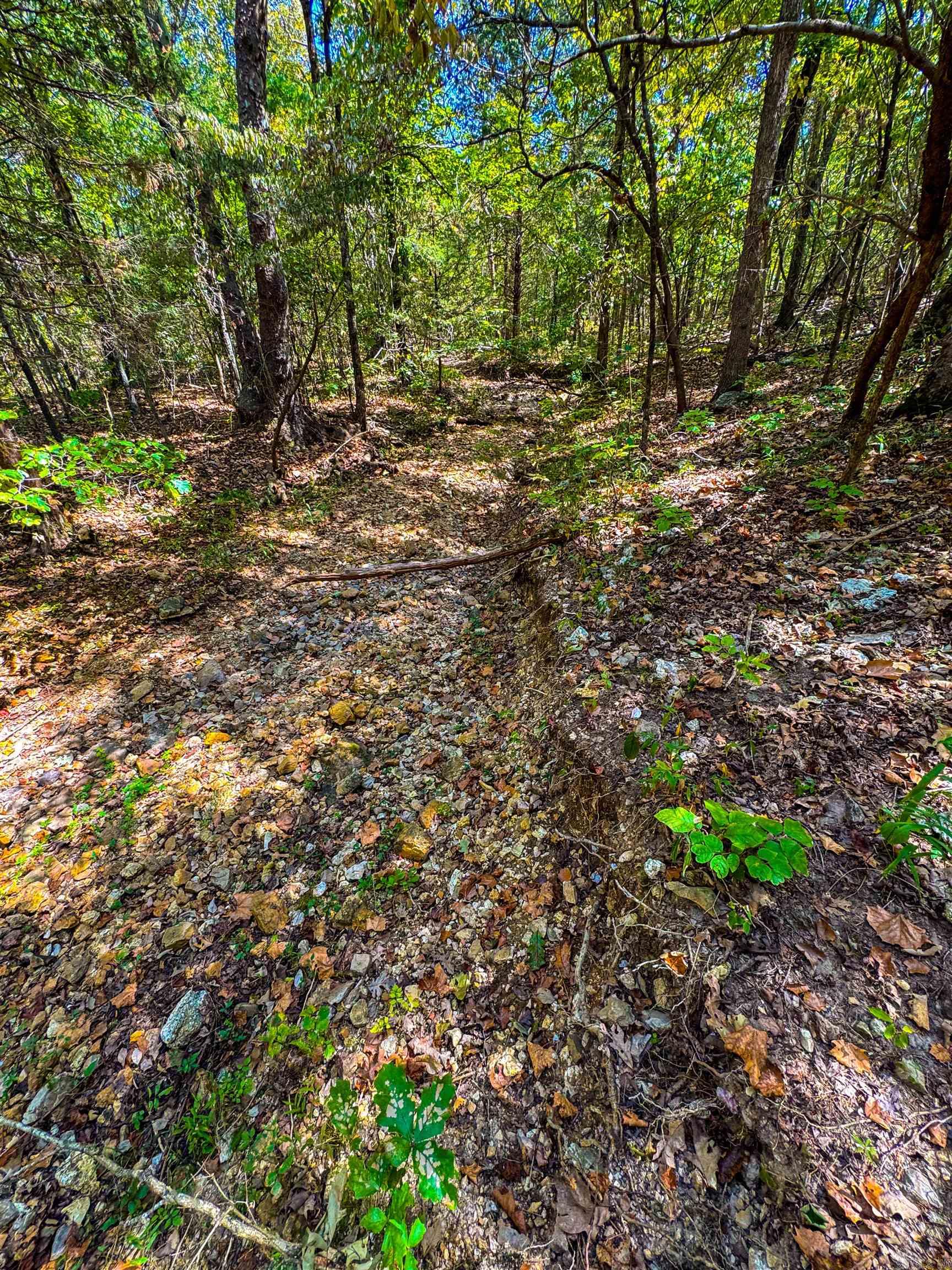 McFadden to the Bluffs - Land