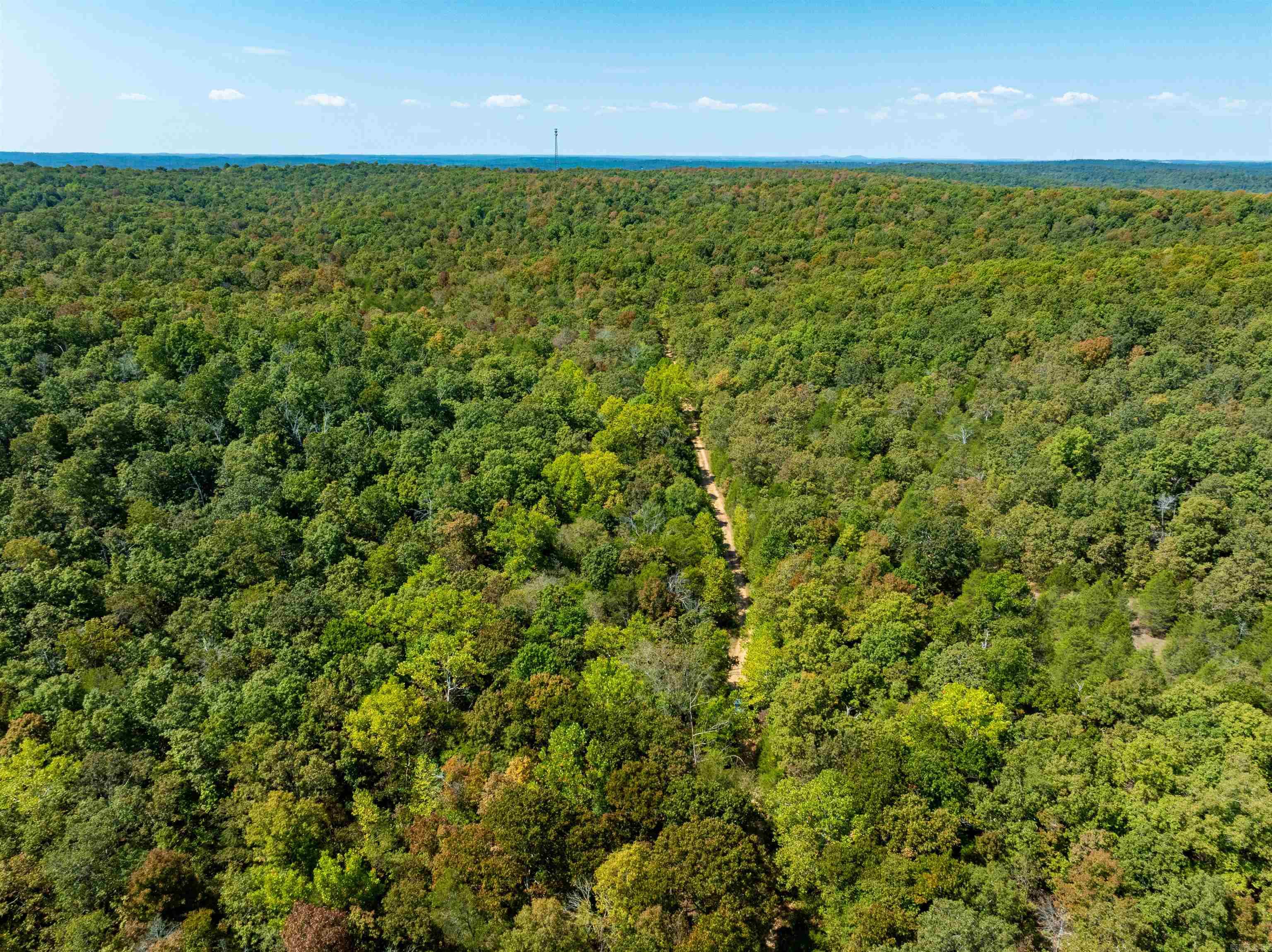McFadden to the Bluffs - Land