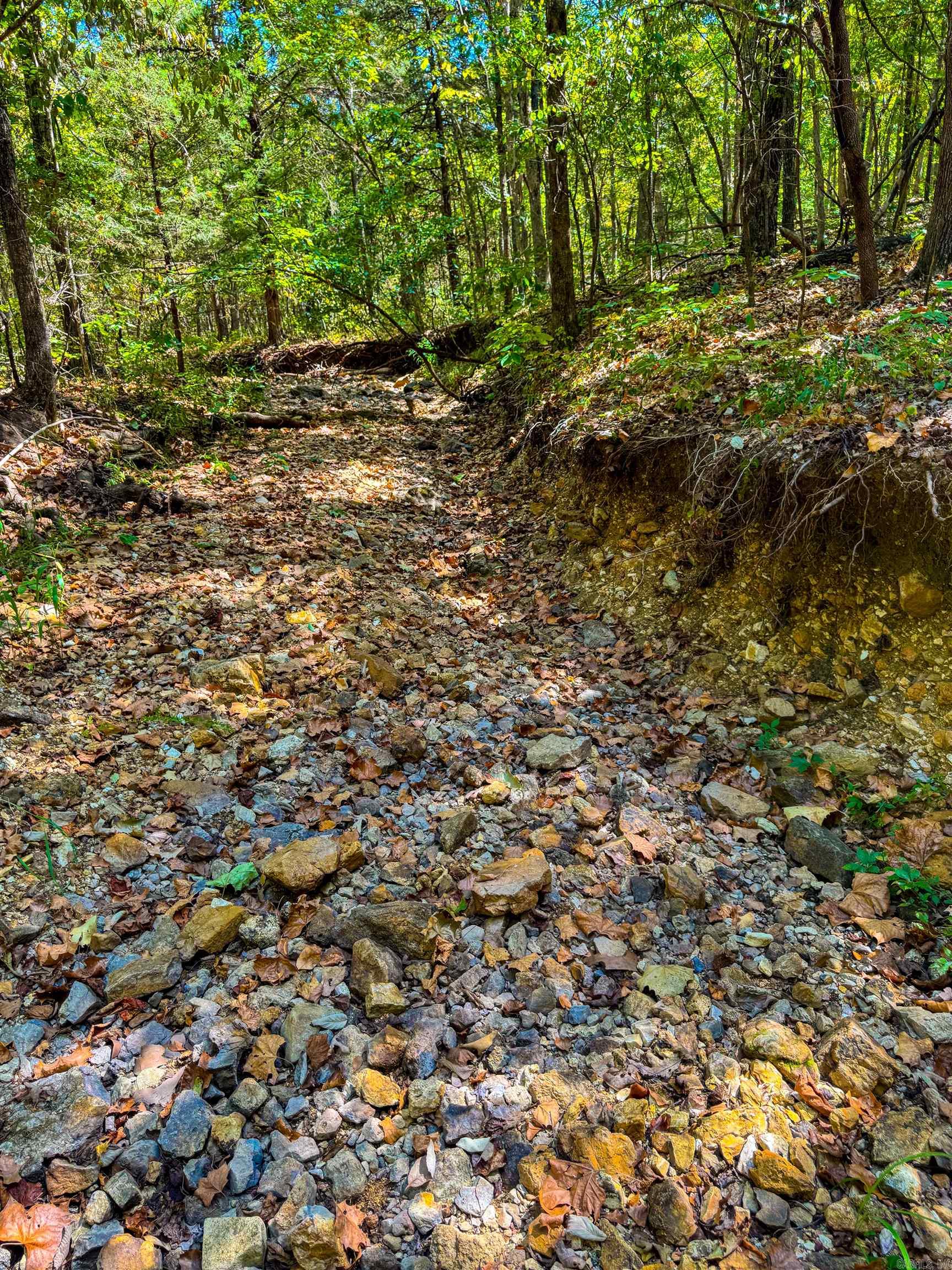 McFadden to the Bluffs - Land