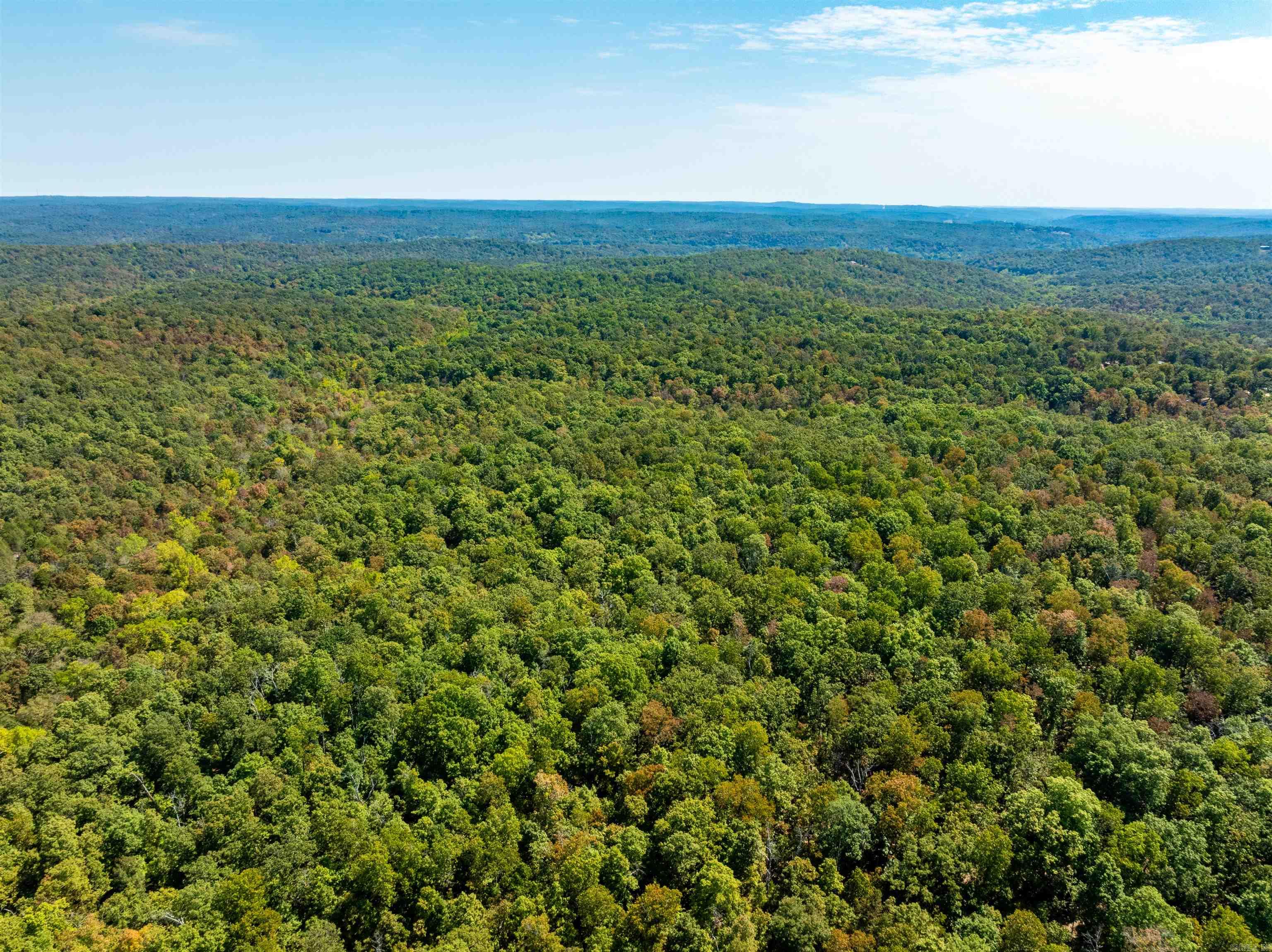 5+/-Wooded Acres of Ozark Serenity - Hardy, Arkansas Tucked away in the rolling hills of Hardy, Arkansas, this wooded 5+/- acre retreat is perfect for privacy and natural beauty. A seasonal wet-weather creek meanders through the property, adding a tranquil touch and attracting local wildlife. Whether you're dreaming of a secluded cabin, a weekend getaway, hunting, or future homestead, this land is a blank canvas waiting for your vision. ⢠Mature trees provide shade and character or building materials for a homestead. ⢠Wet-weather creek adds charm and ecological interest ⢠Easy access to town amenities & Spring River recreation ⢠Local fire station (9 Mile Ridge V.F.D.) equipped with a helicopter pad Escape the noise and reconnect with nature - this slice of Arkansas is ready to welcome you home. Located just minutes from historic downtown Hardy.
