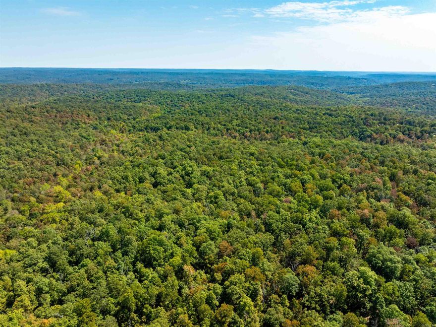 5+/-Wooded Acres of Ozark Serenity - Hardy, Arkansas Tucked away in the rolling hills of Hardy, Arkansas, this wooded 5+/- acre retreat is perfect for privacy and natural beauty. A seasonal wet-weather creek meanders through the property, adding a tranquil touch and attracting local wildlife. Whether you're dreaming of a secluded cabin, a weekend getaway, hunting, or future homestead, this land is a blank canvas waiting for your vision. • Mature trees provide shade and character or building materials for a homestead. • Wet-weather creek adds charm and ecological interest • Easy access to town amenities & Spring River recreation • Local fire station (9 Mile Ridge V.F.D.) equipped with a helicopter pad Escape the noise and reconnect with nature - this slice of Arkansas is ready to welcome you home. Located just minutes from historic downtown Hardy.