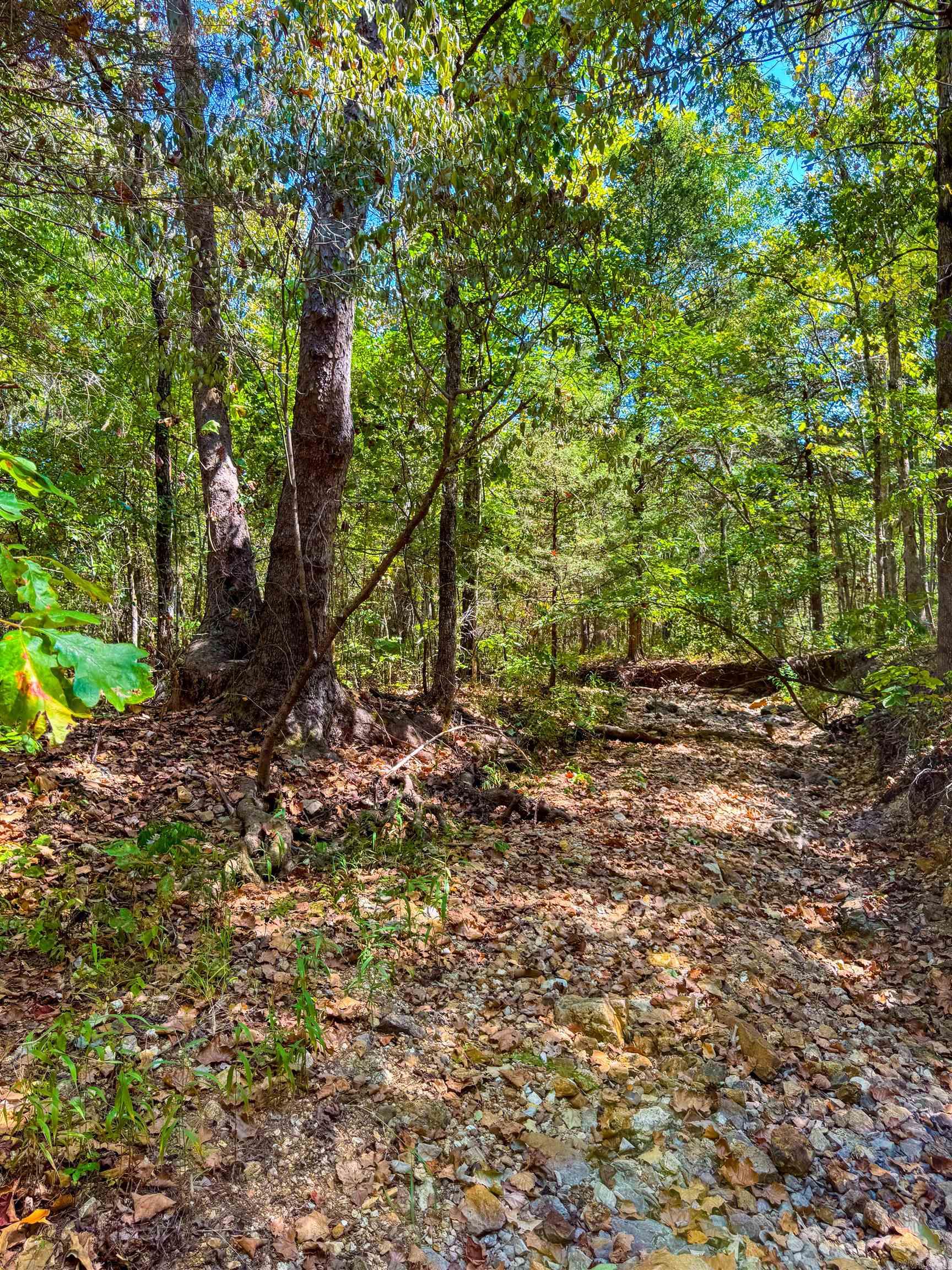McFadden to the Bluffs - Land