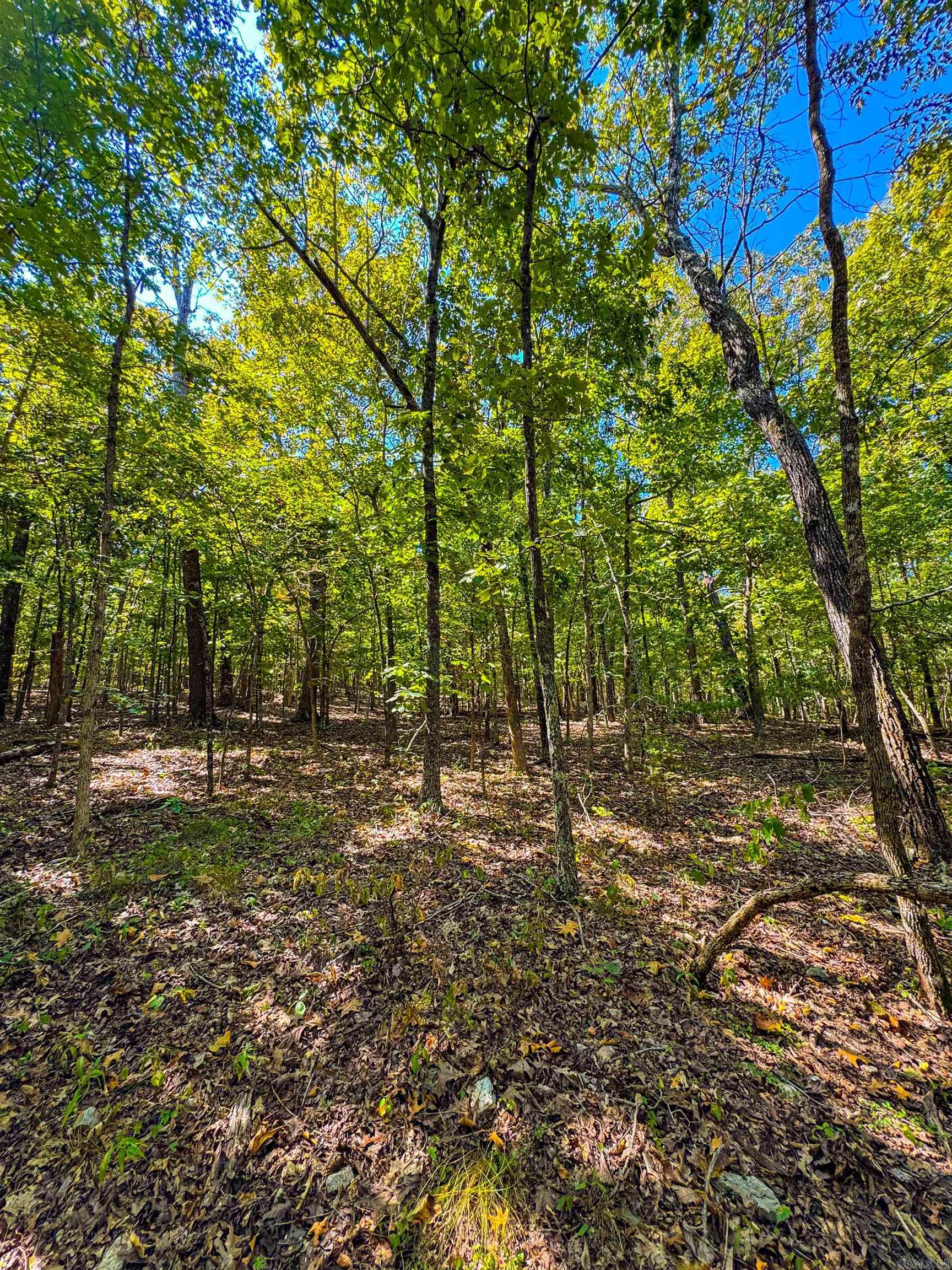 McFadden to the Bluffs - Land