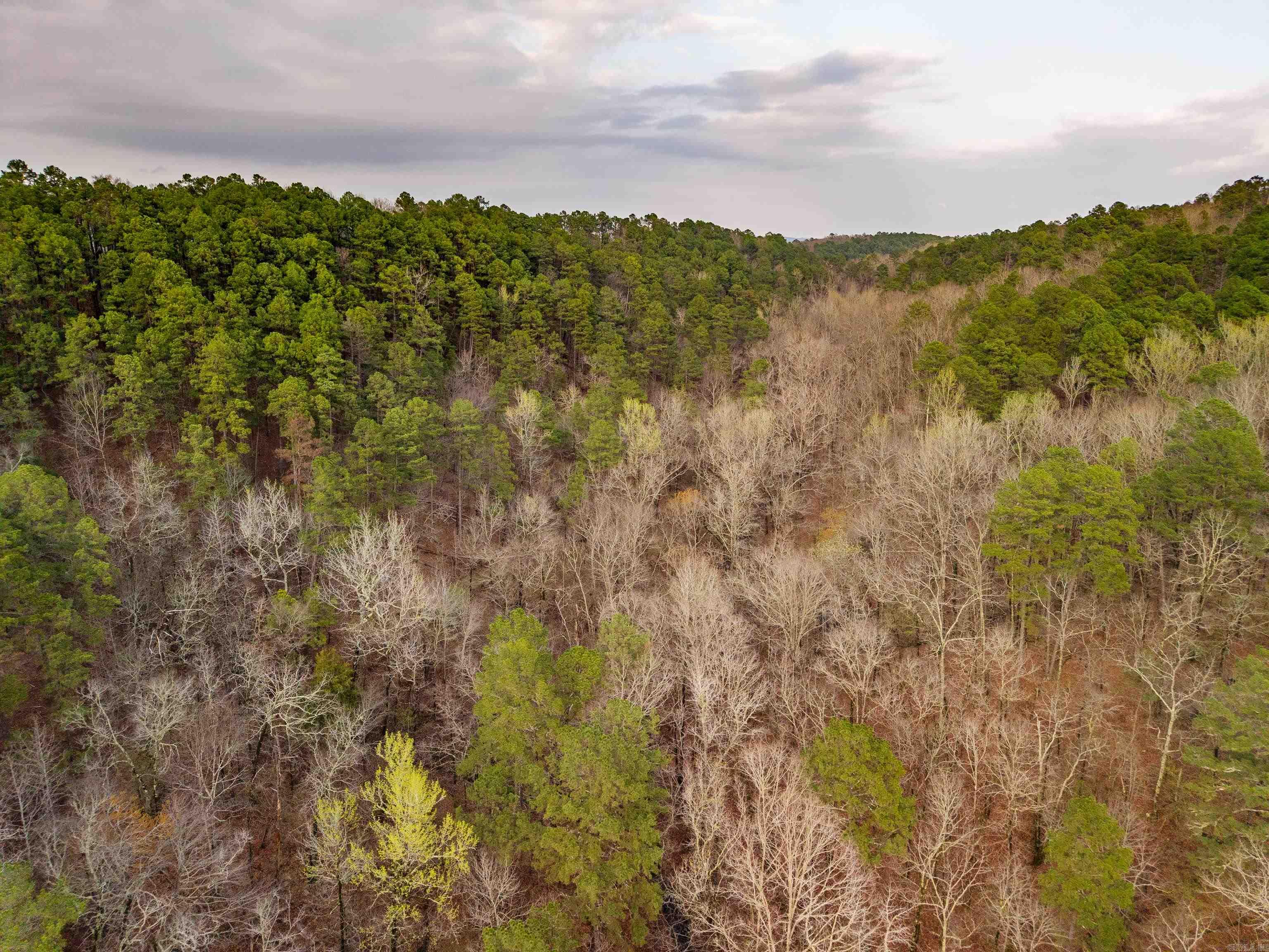 Diamondhead T - Land