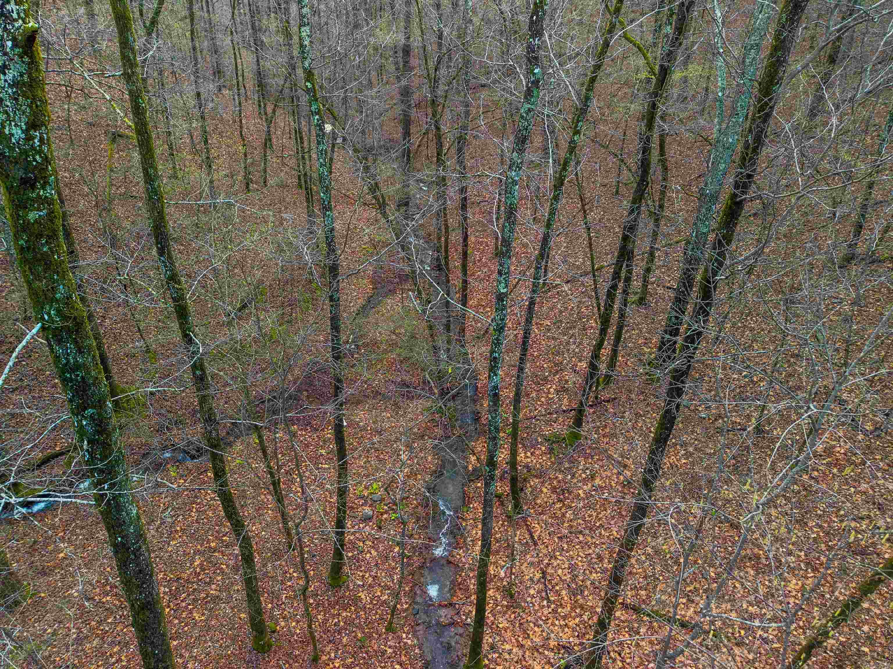 Diamondhead T - Land