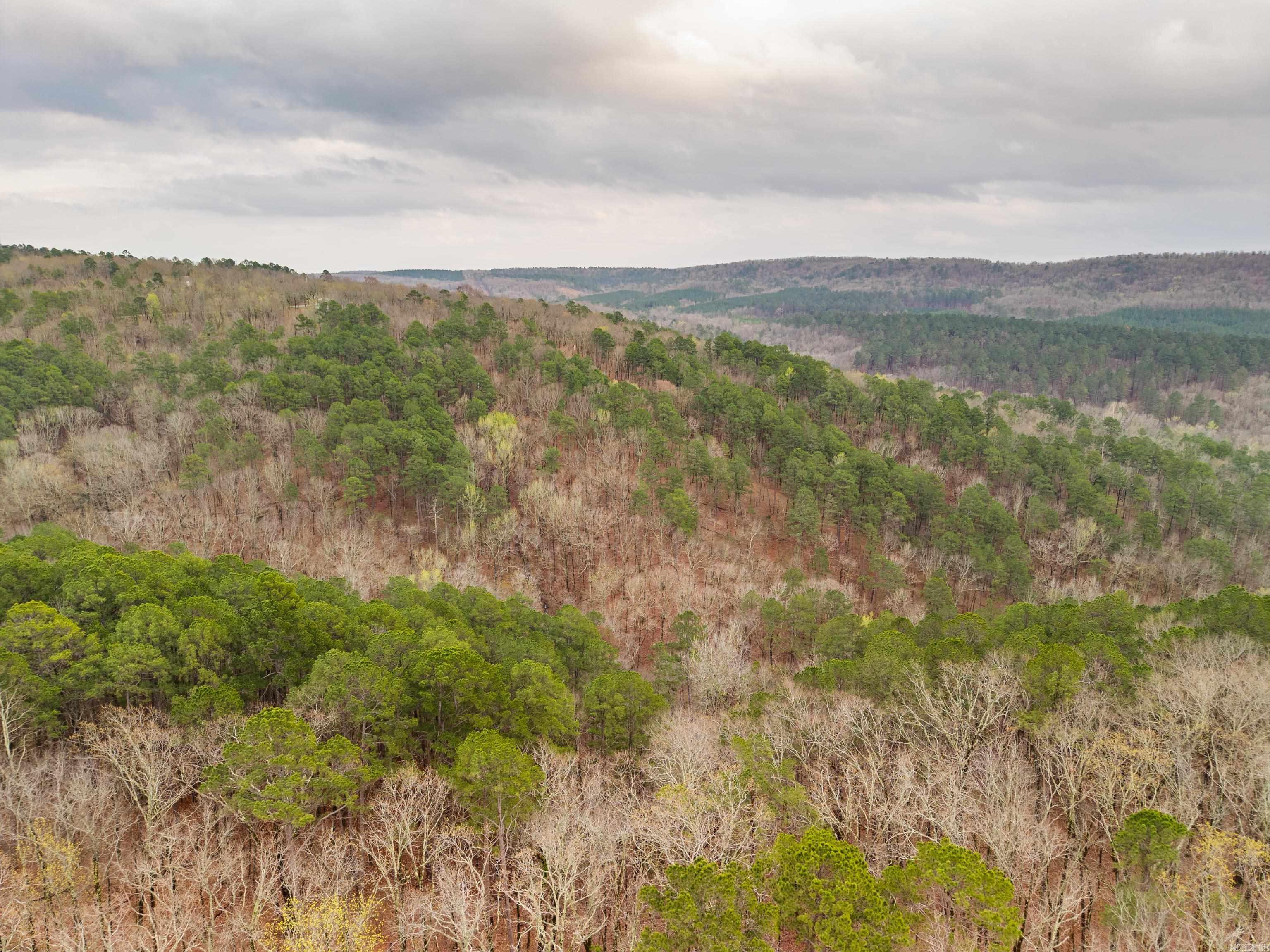 Diamondhead T - Land