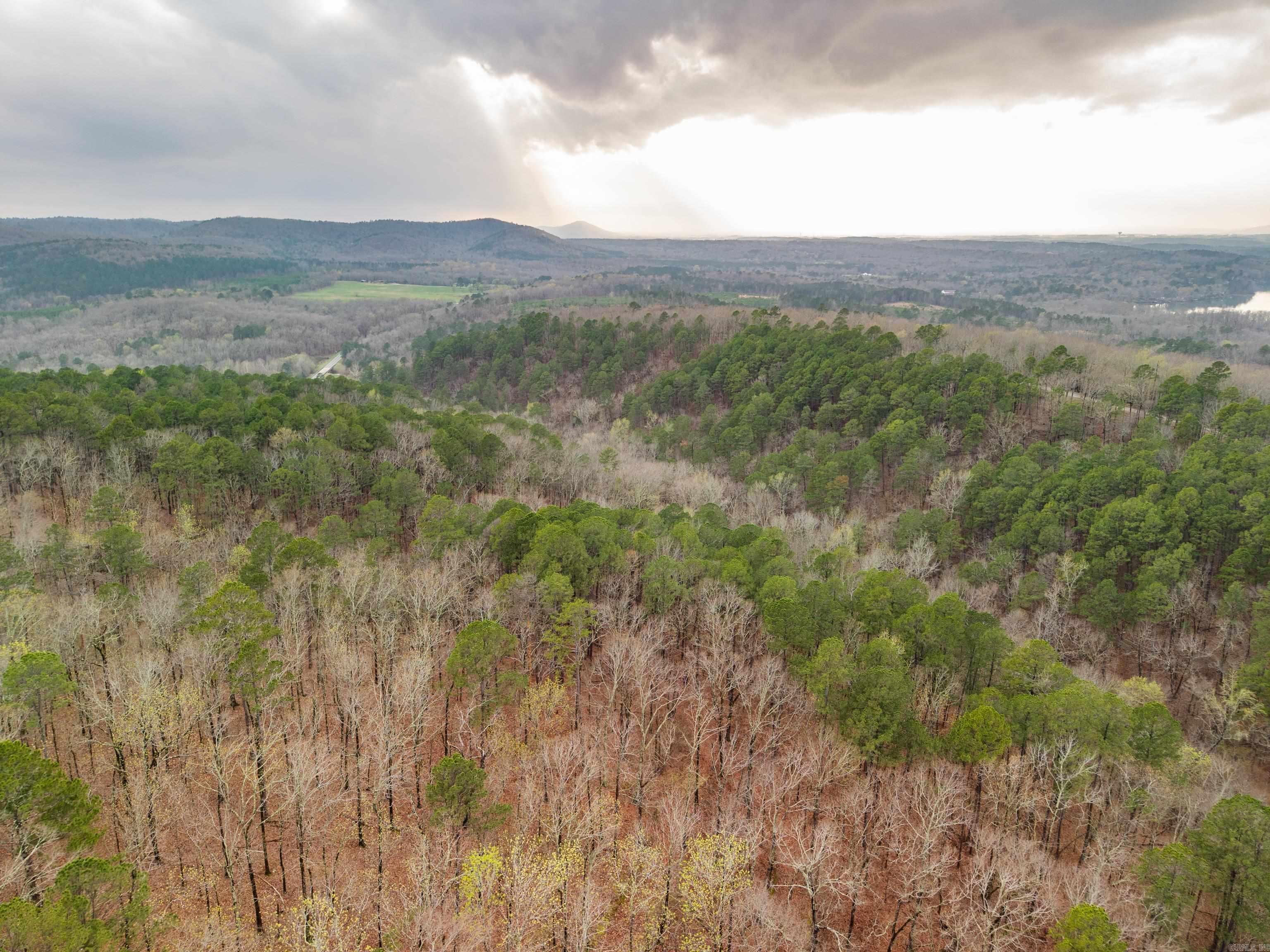 Diamondhead T - Land