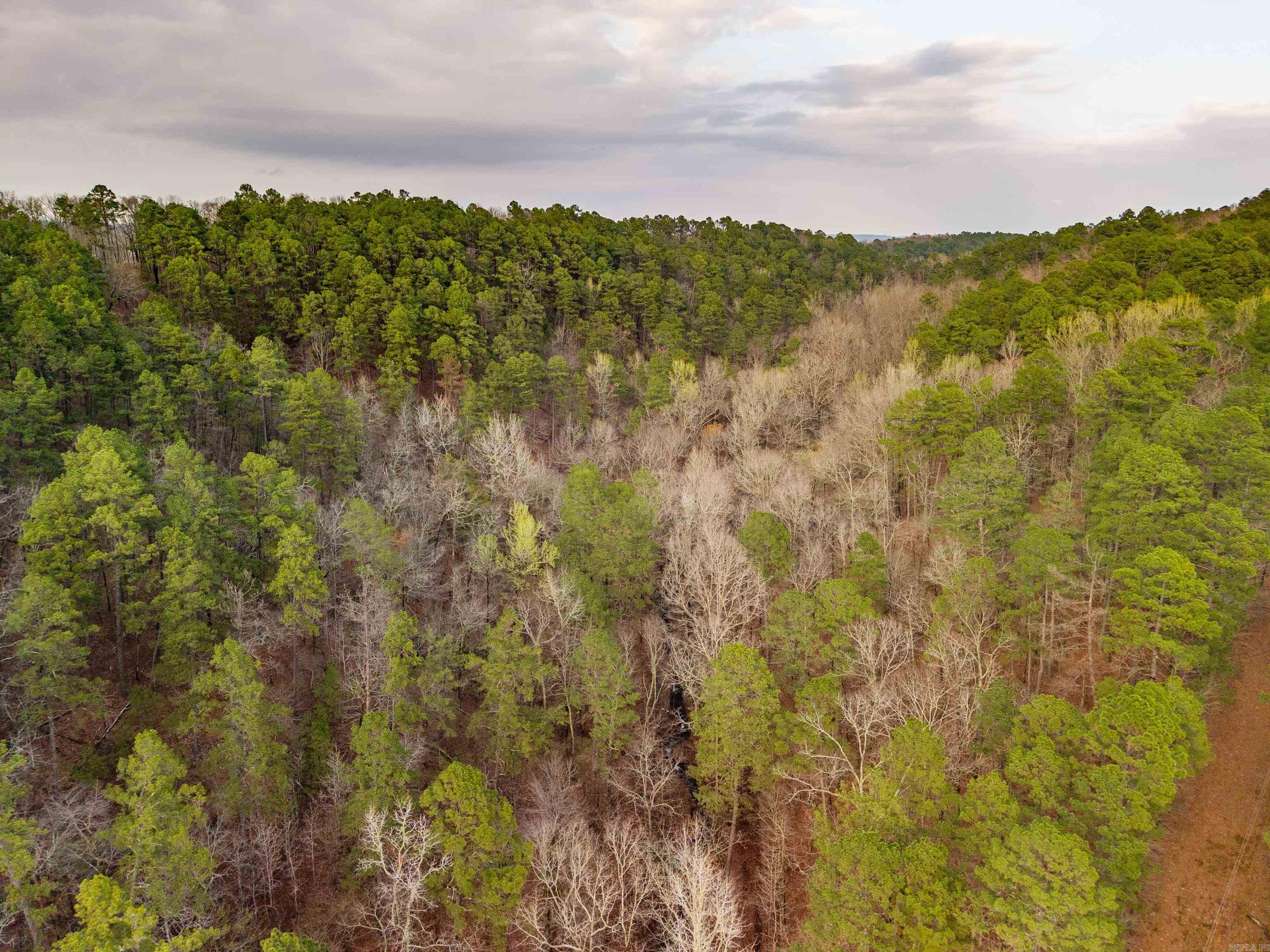 Diamondhead T - Land