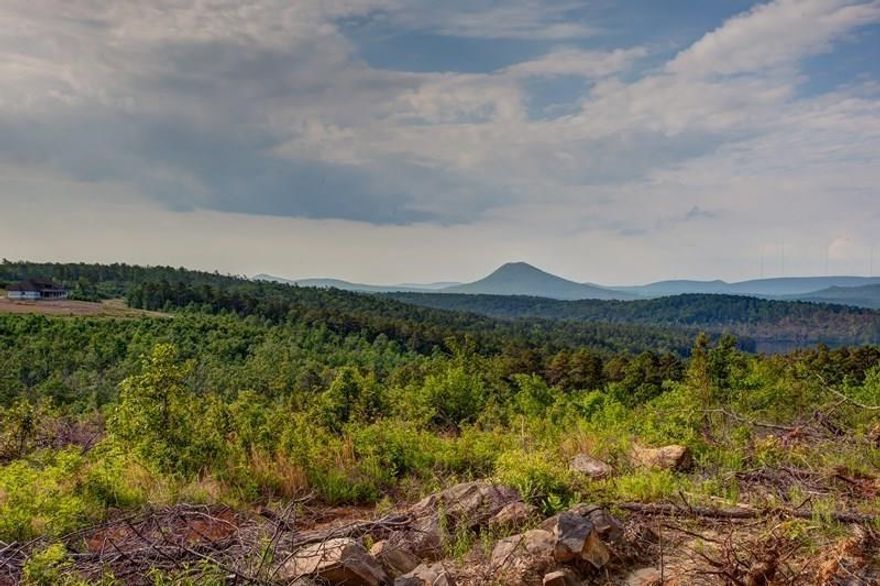 Unbelievable private wooded lots with scenic views. Gated neighborhood with basketball and tennis court, sports field, fire pit and nature trails. Only 6 miles from Hwy 10. Private, family living at its finest. Min sq ft 2400. Builders welcome with approval from arch. committee.