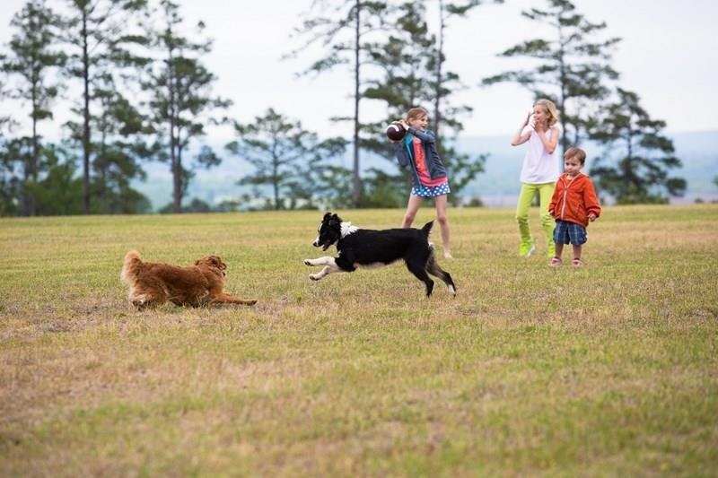 Waterview Meadows - Land