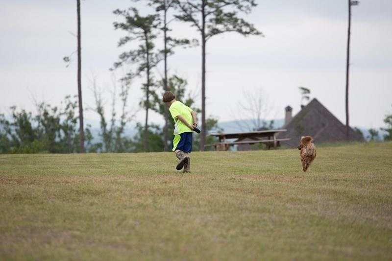 Waterview Meadows - Land
