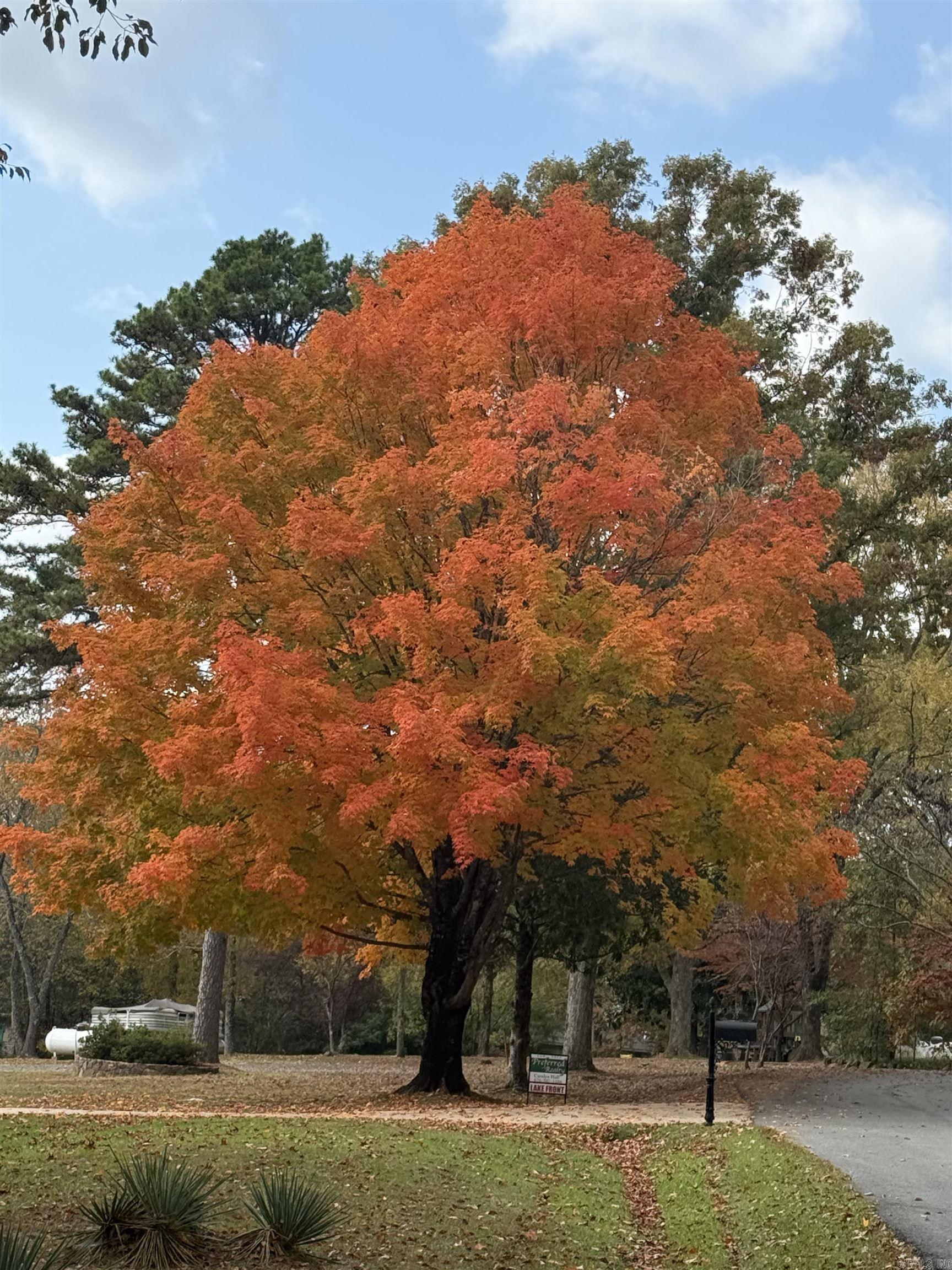 INTERLOCHEN ESTATES - LAKE - Residential