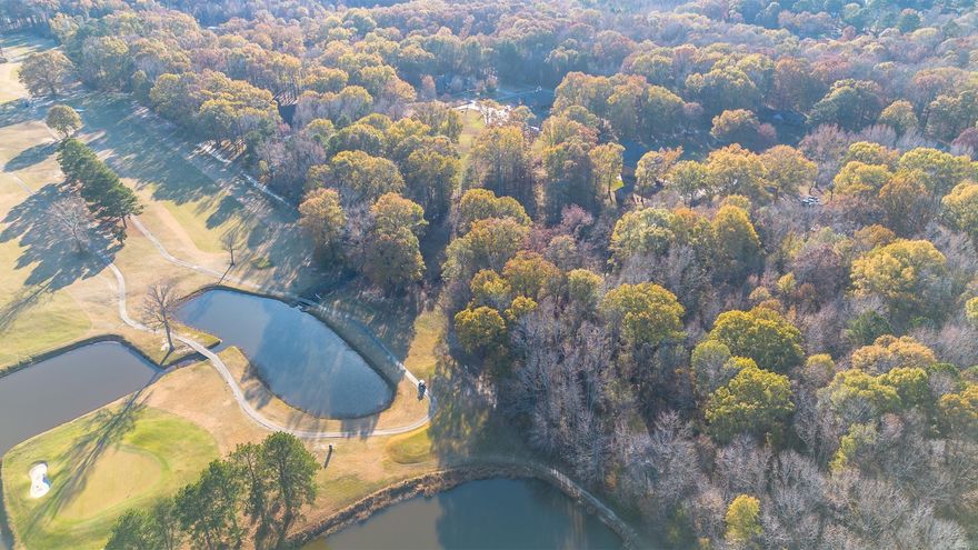 3 Acre lot located in the highly sought-after Cabot School District and located directly on Rolling Hills golf course.  Experience the peace and quiet of country living while being conveniently close to local amenities and schools. Utilities and septic tank on site.