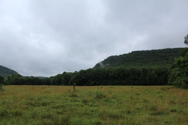 Metes & Bounds - Farm