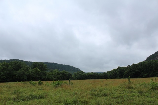 Metes & Bounds - Farm