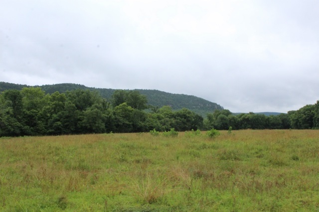 Metes & Bounds - Farm