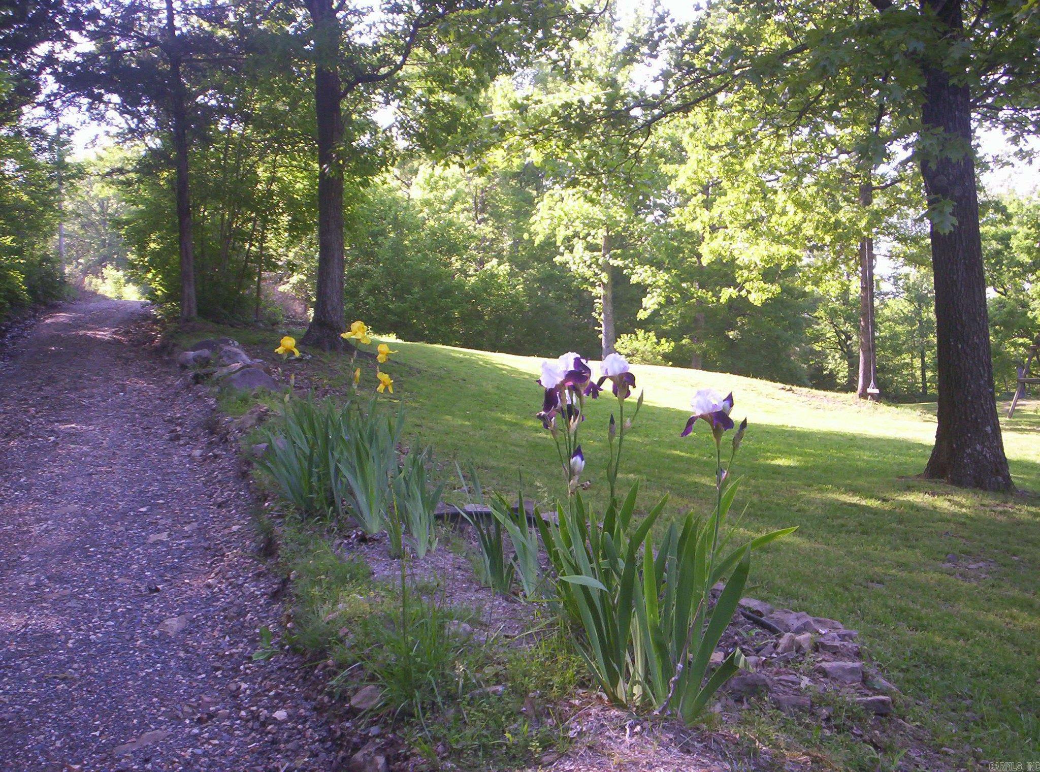 Leslie Original Town - Residential