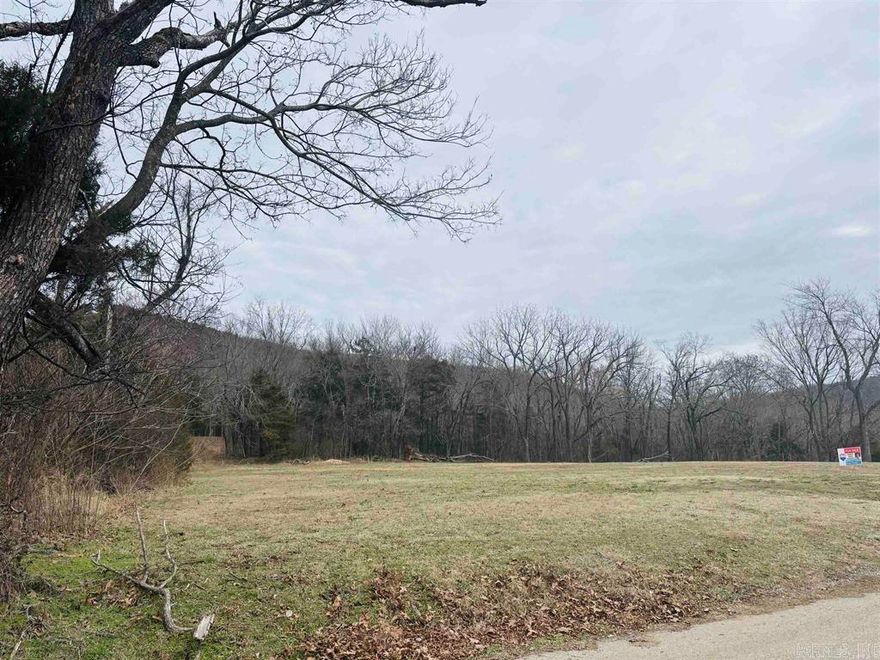 Unique find! Beautiful residential property ready for constructing your dream home or vacation getaway conveniently located inside the city limits of Marshall, the heart of the world renown Ozarks and known as the front door to the gorgeous Buffalo National River. Nice mountain and sunset views! This level property, containing 4 acres MOL, has power onsite, city water, and is scheduled to have city sewer availability within the next year.  The front of the lot is beautifully cleared and mow-able with a back area of woodland providing a perfect privacy buffer.  The seller has an additional 18 adjoining woodland acres also available for purchase. Call today for more information or to view.