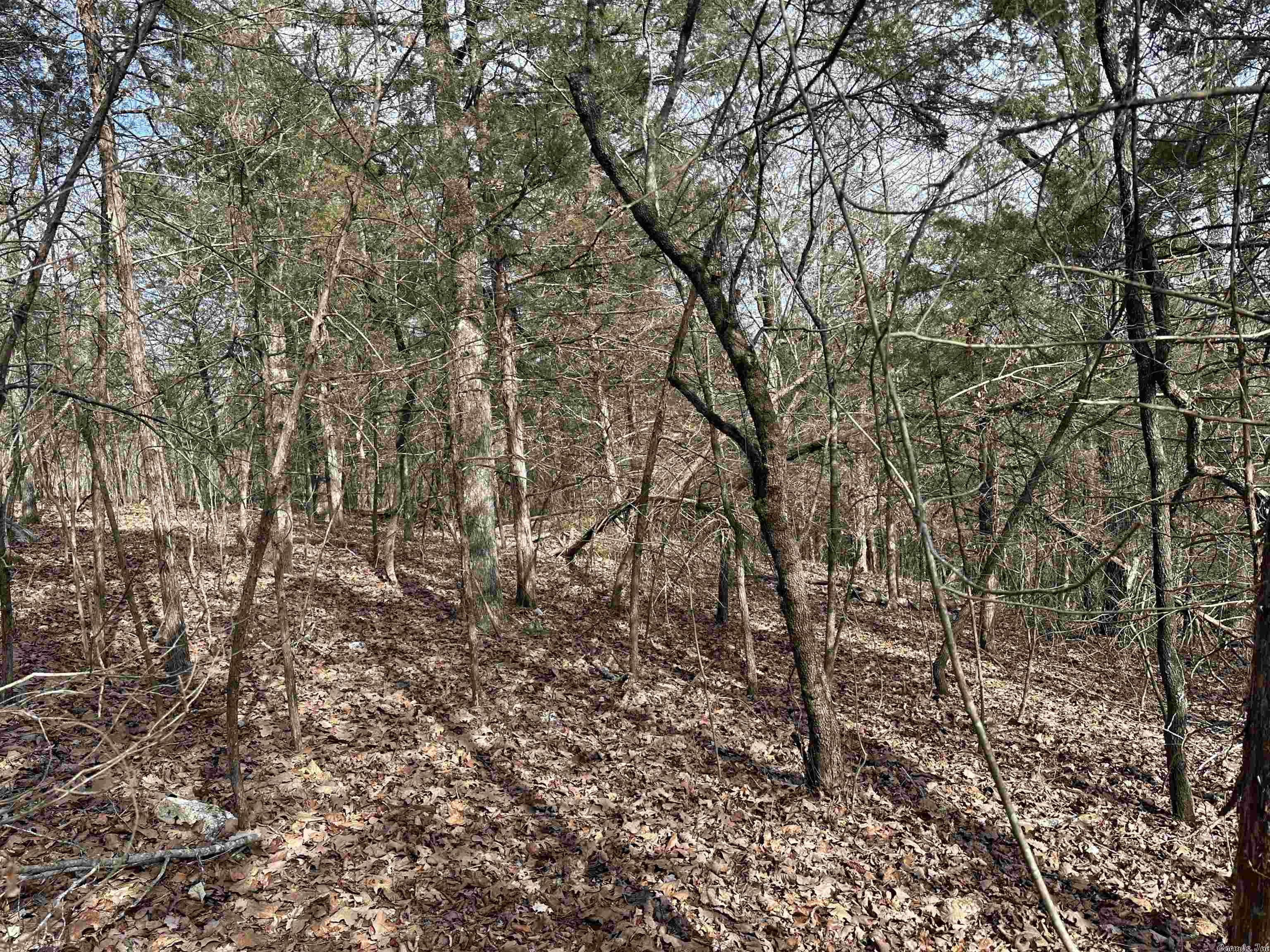 White Horse Mountain - Land