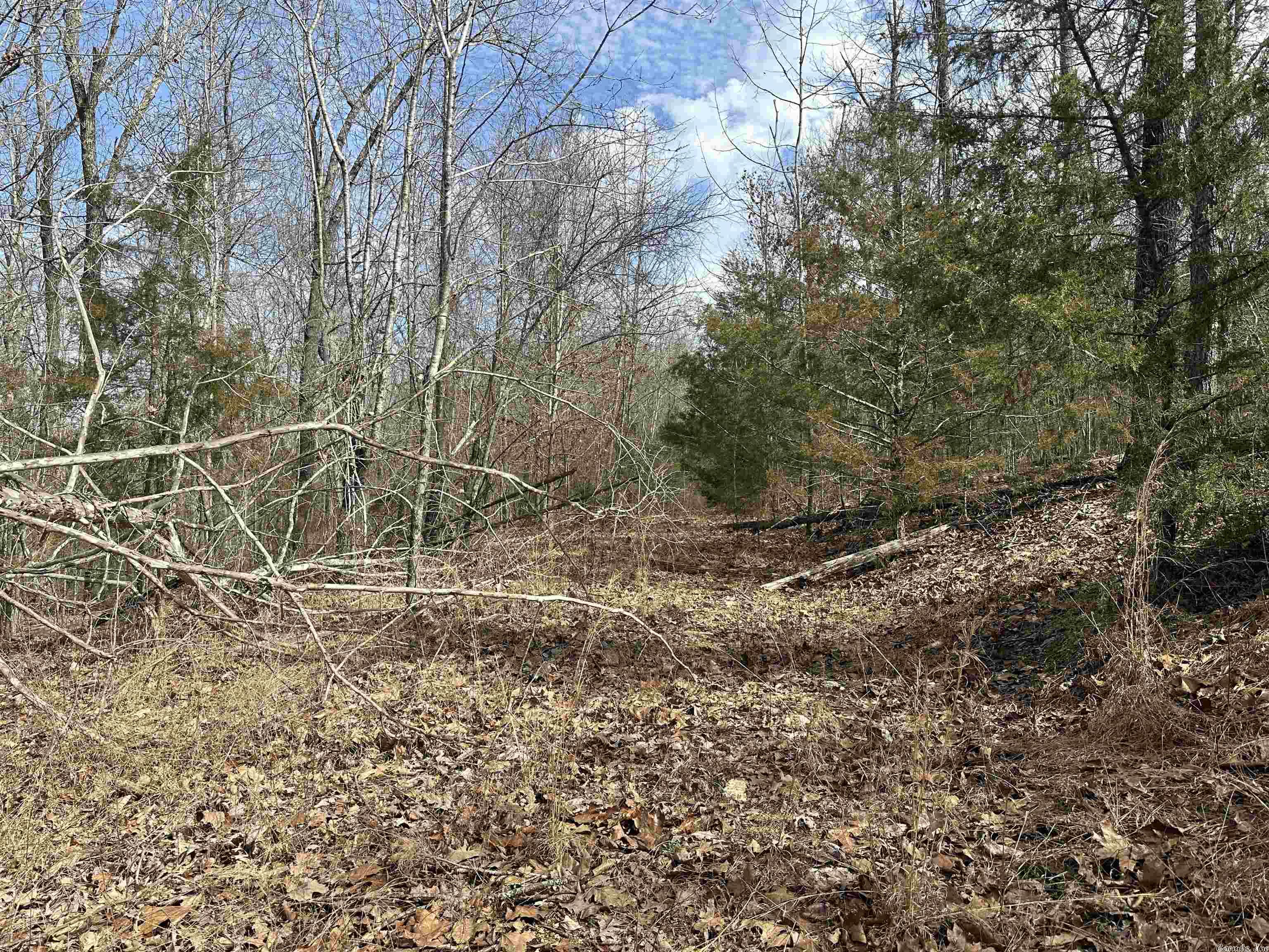 White Horse Mountain - Land