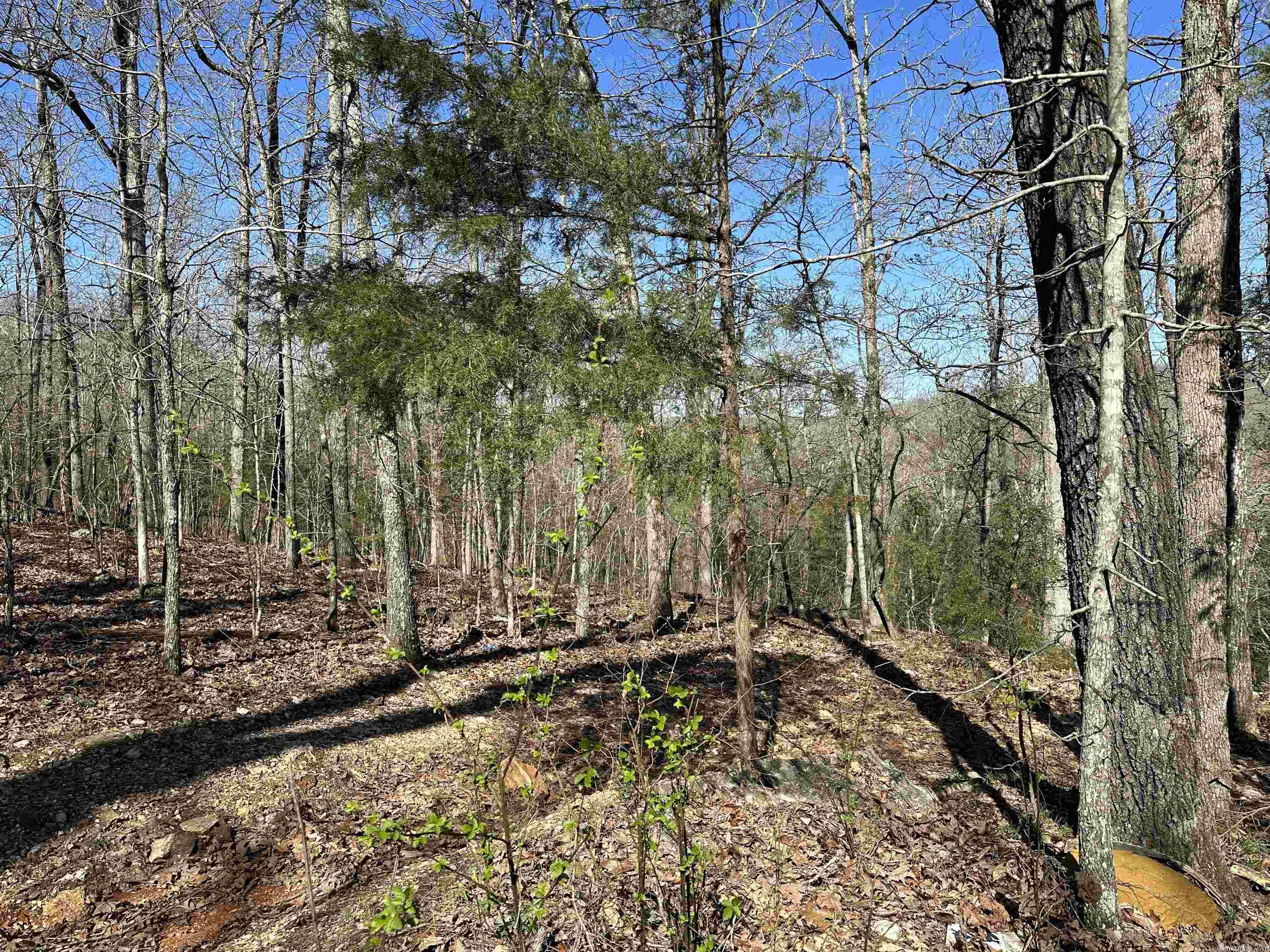 White Horse Mountain - Land