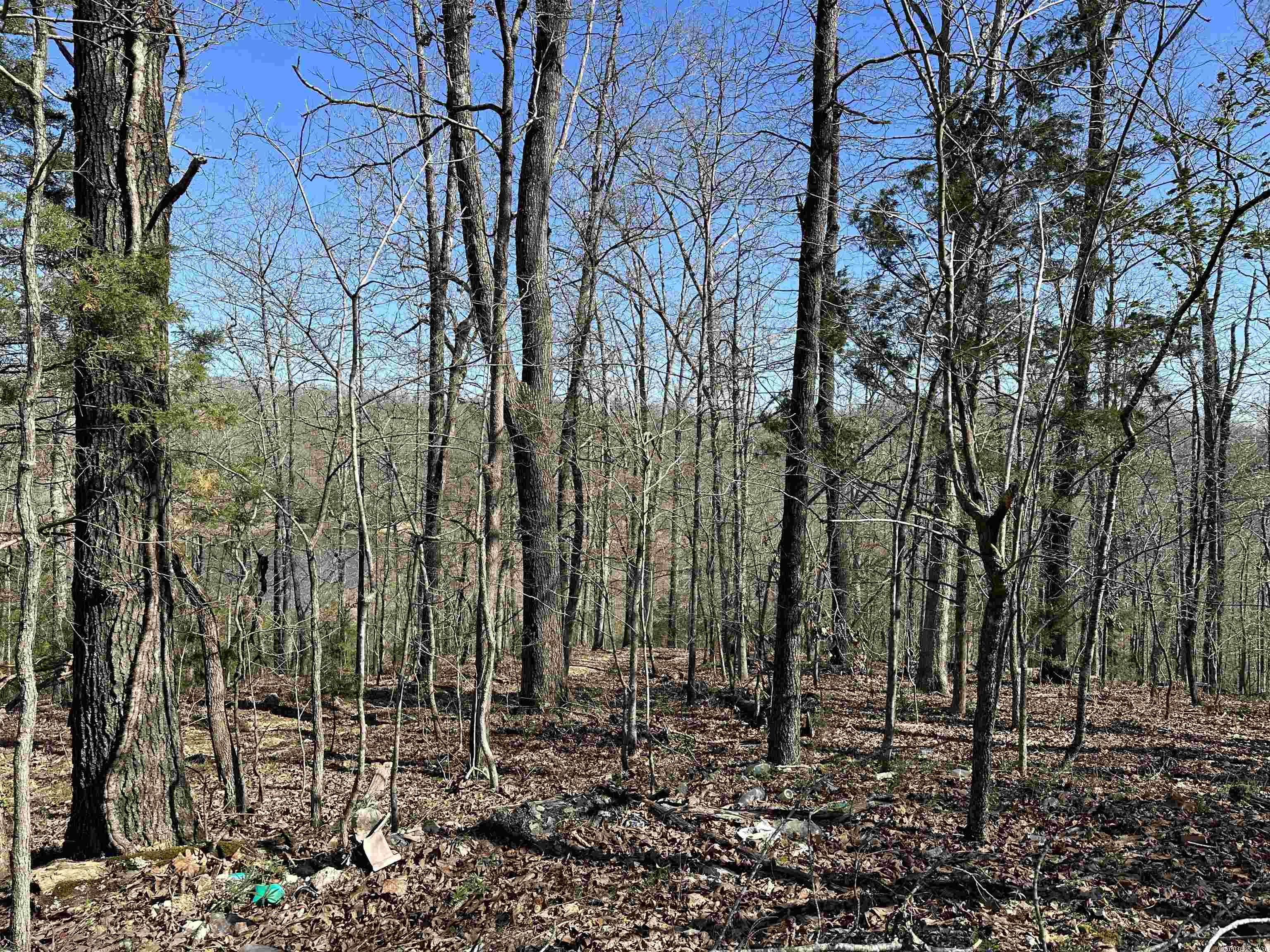 White Horse Mountain - Land