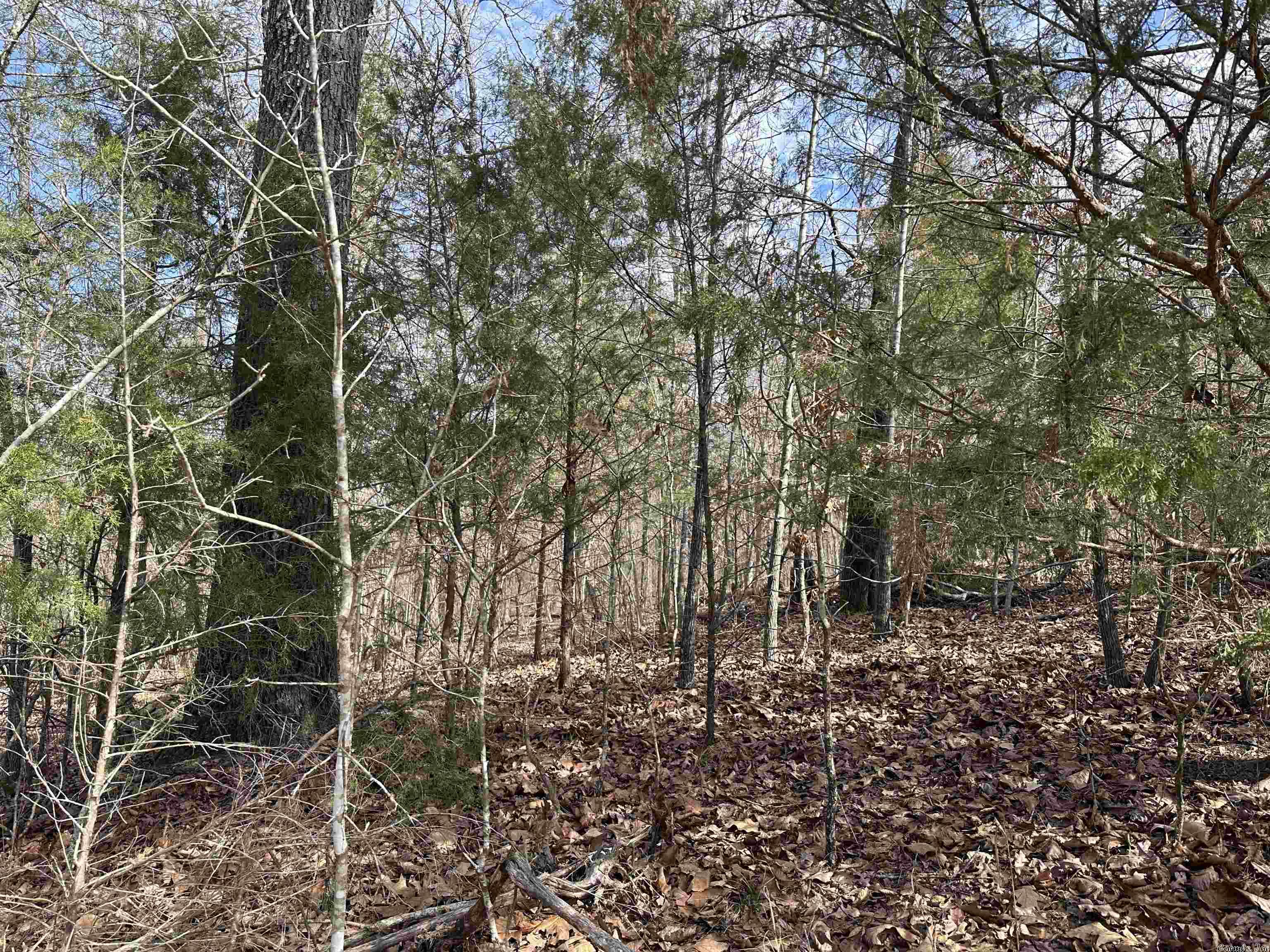 White Horse Mountain - Land