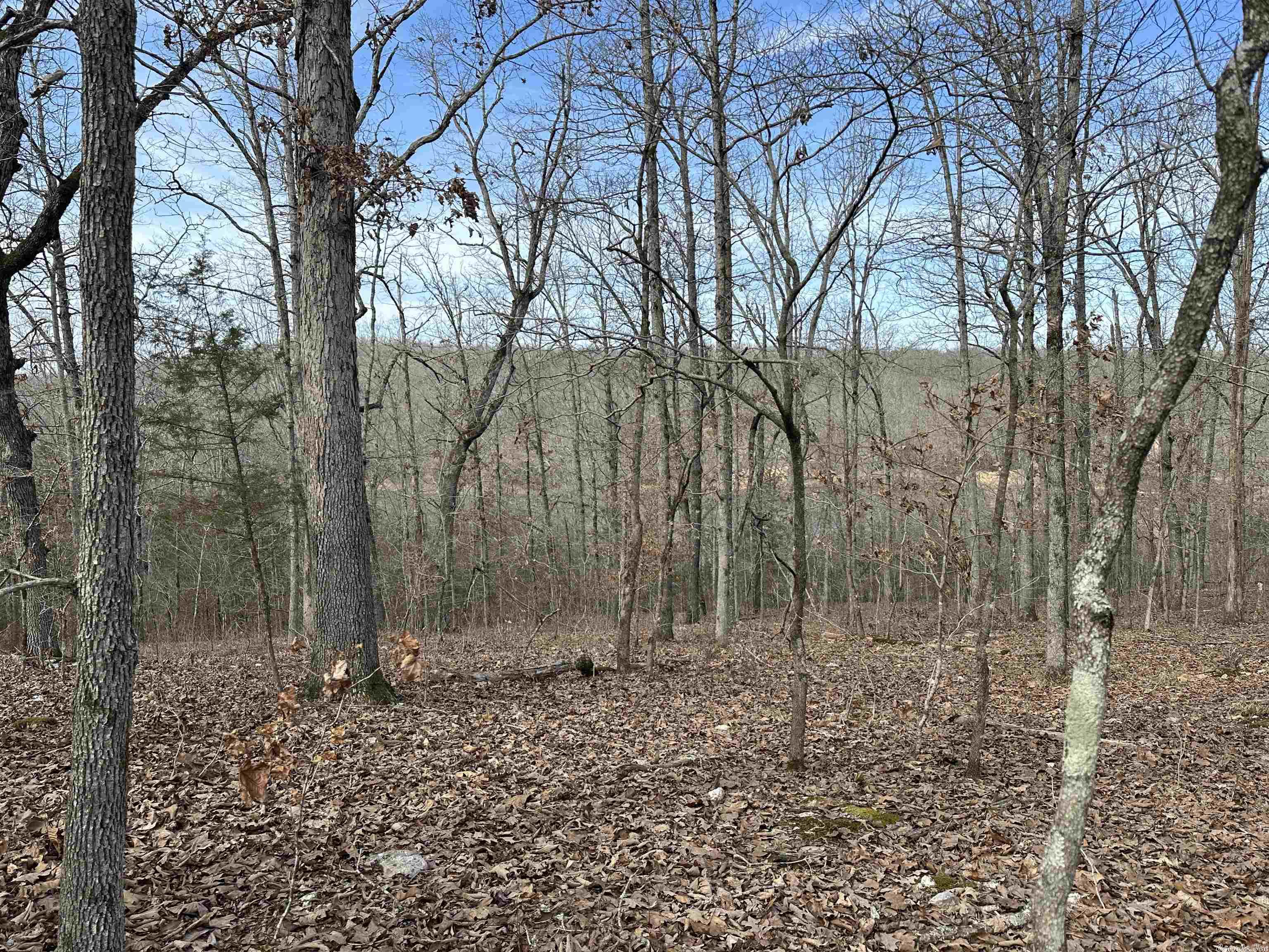 White Horse Mountain - Land