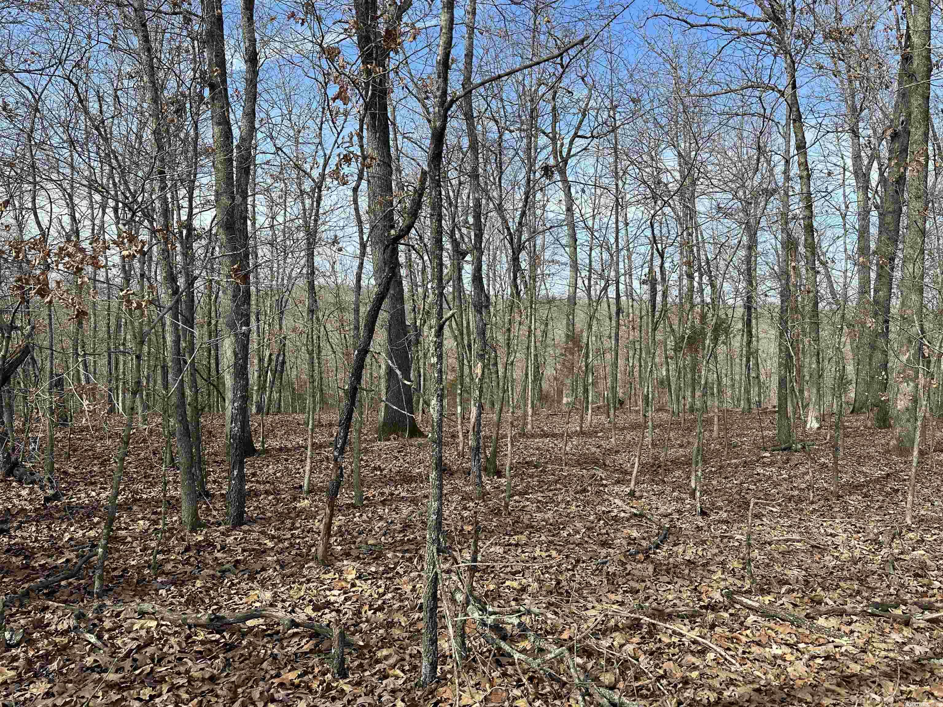 White Horse Mountain - Land