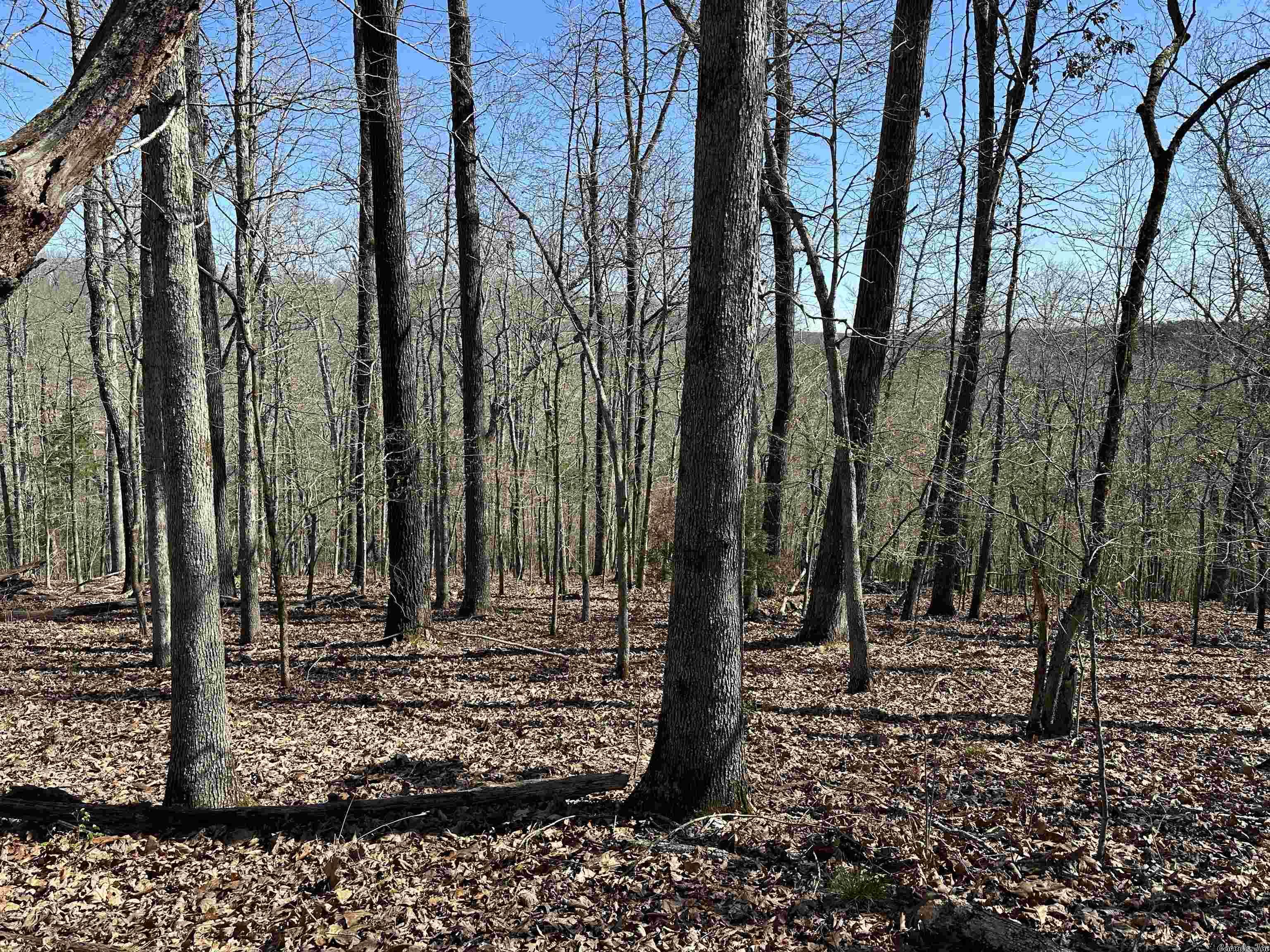 White Horse Mountain - Land