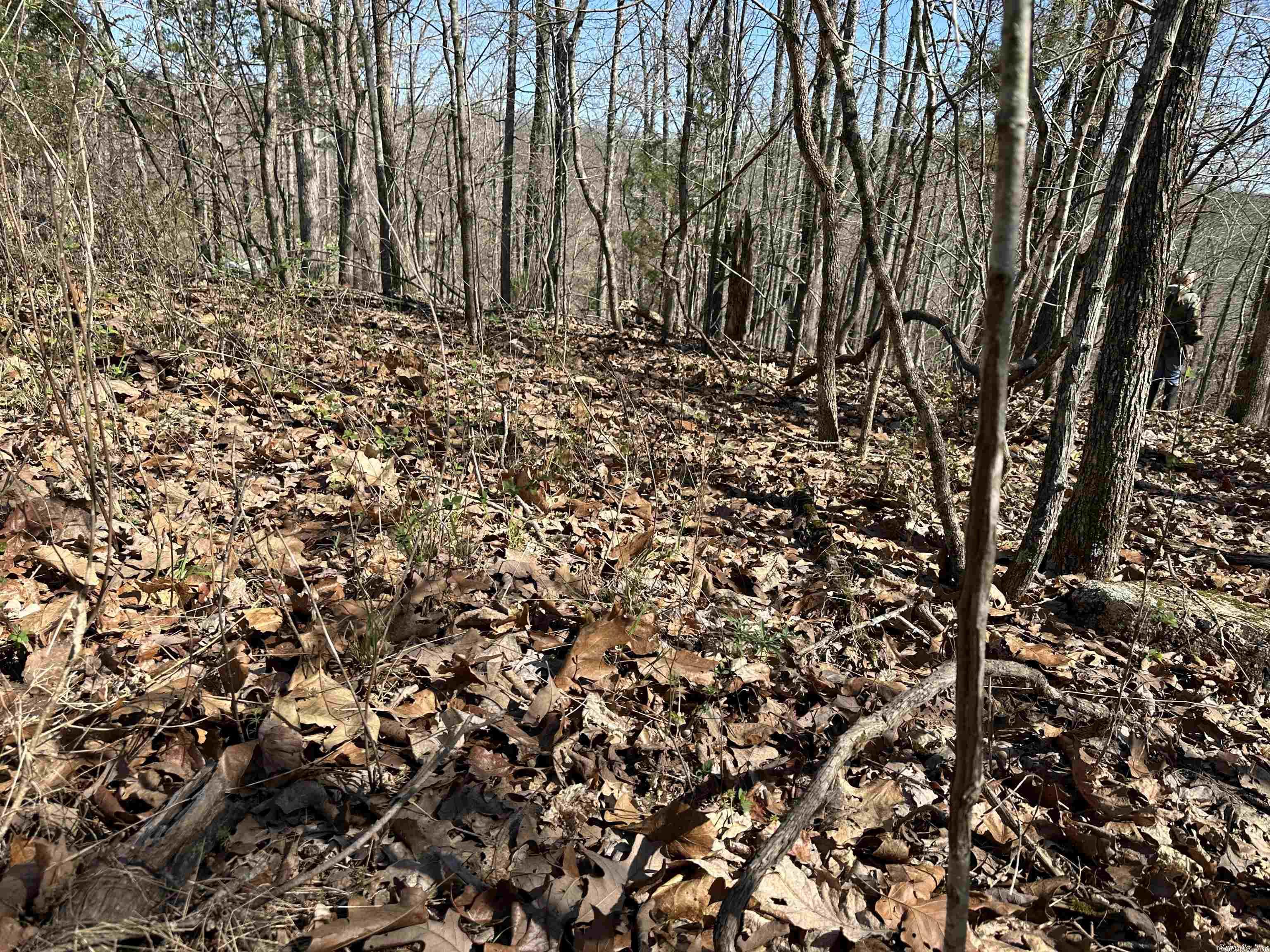 White Horse Mountain - Land