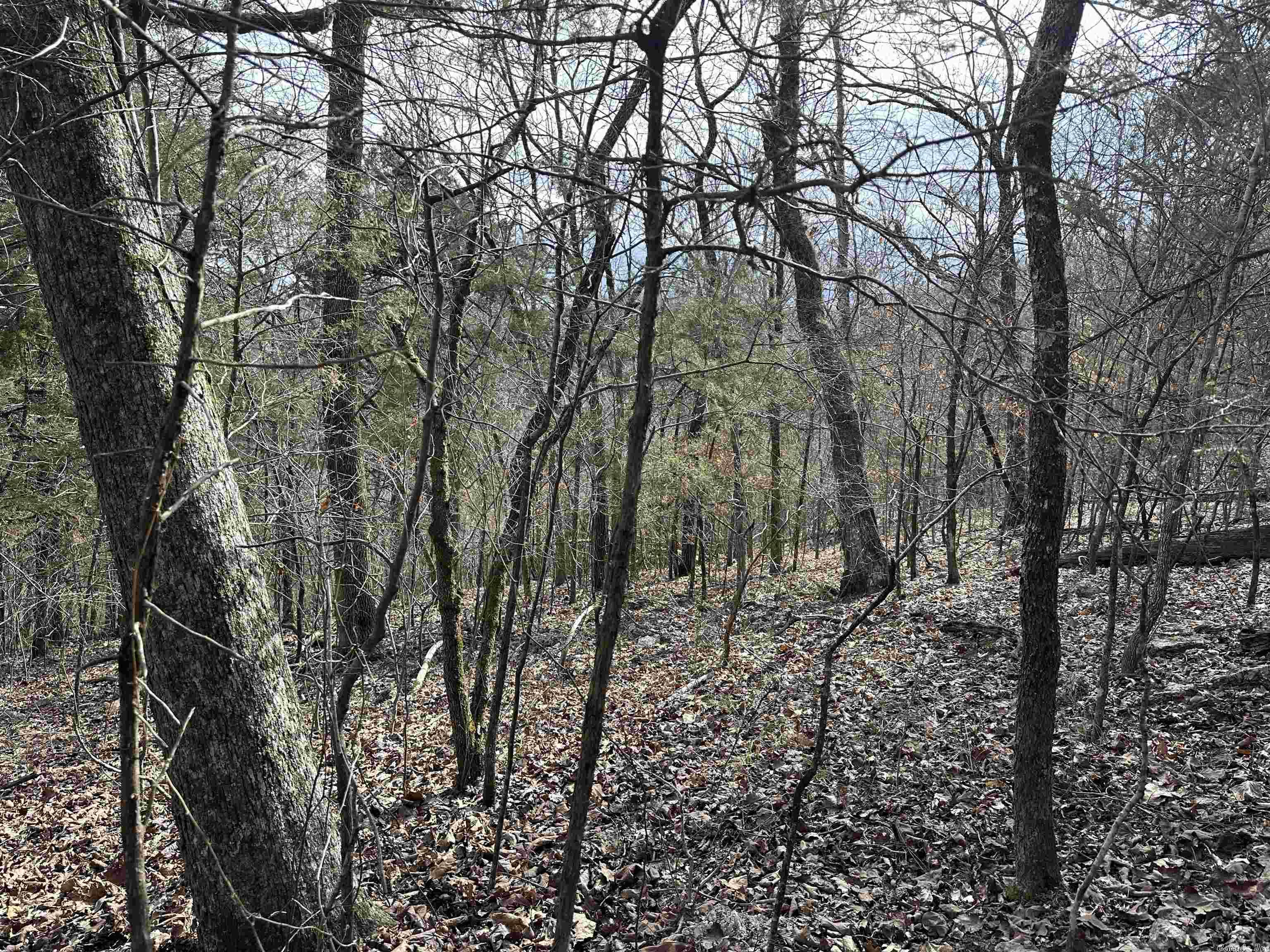 White Horse Mountain - Land