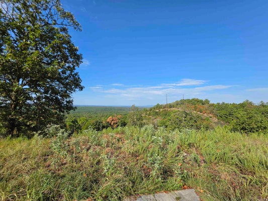 457 POLK ST N # 412, MENA, AR 71953 - Image c9a59fc8e80c38181d0efb620dca607a/3331957429