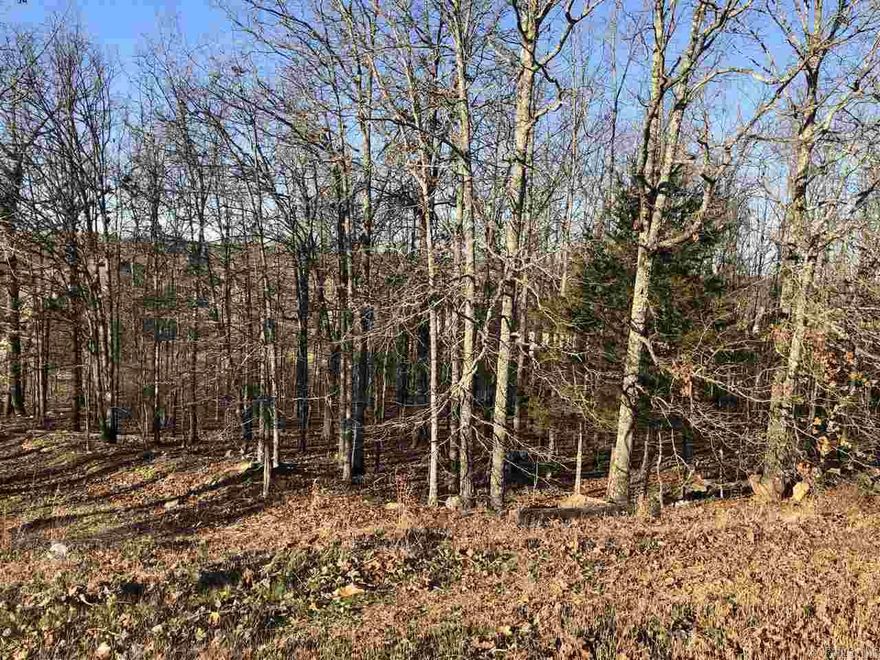 Beautiful wooded lot on the Boulevard of Greystone!  Enjoy mother nature to surround your custom home.  2400 SF minimum.  Not many lots left in Greystone-grab it now! See survey on docsonline.