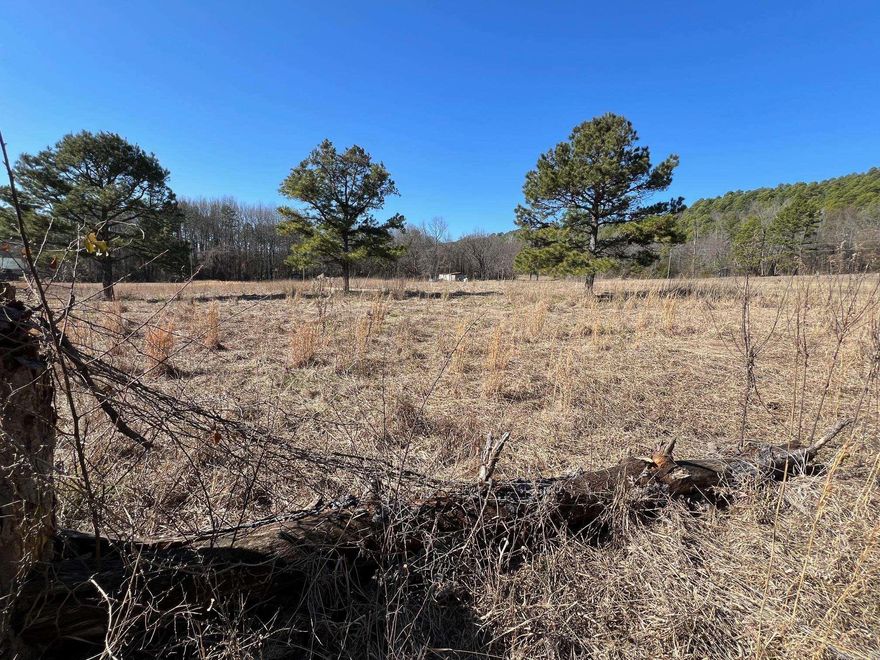 One acre up for sale in Perry County Arkansas situated at the base of Petit Jean Mountain this lot is unrestricted and ready for someone to make theirs.  Owner Financing is possible. Will need a septic and a well. Call for details