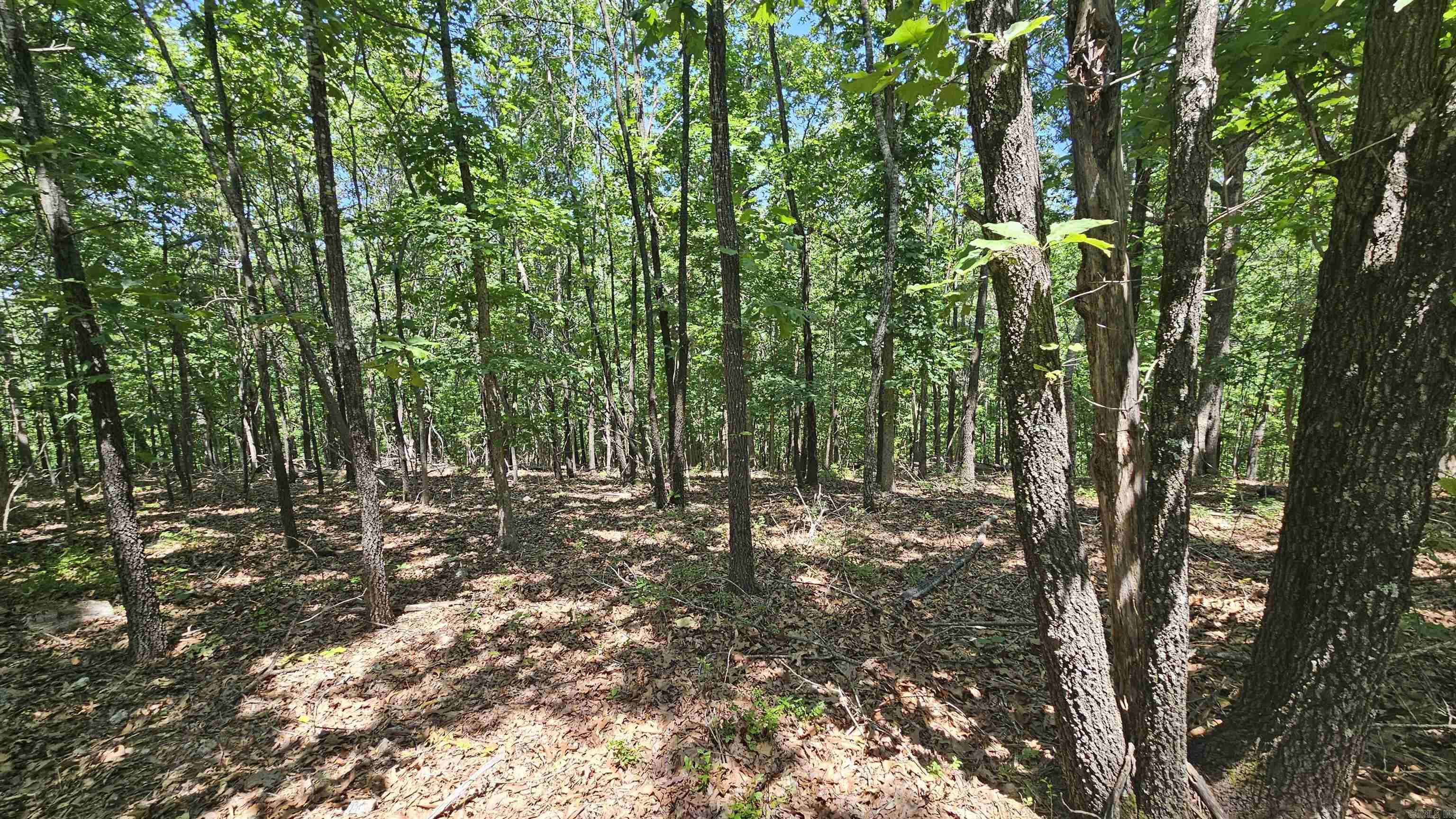 Just minutes away from the only working ferry in the state of Arkansas and the Hwy 125 State Park on Bull Shoals Lake, this 20 acre m/l property is ready to build the house of your dreams on! Bring your hunting gear or hook the boat up and come enjoy this beautiful setting in the Arkansas Ozarks! And all just a short ride away from Branson, MO and Harrison and Mountain Home, AR! County road frontage makes for easy access and power and phone/ internet utilities are available at the property. No restrictions on this property!