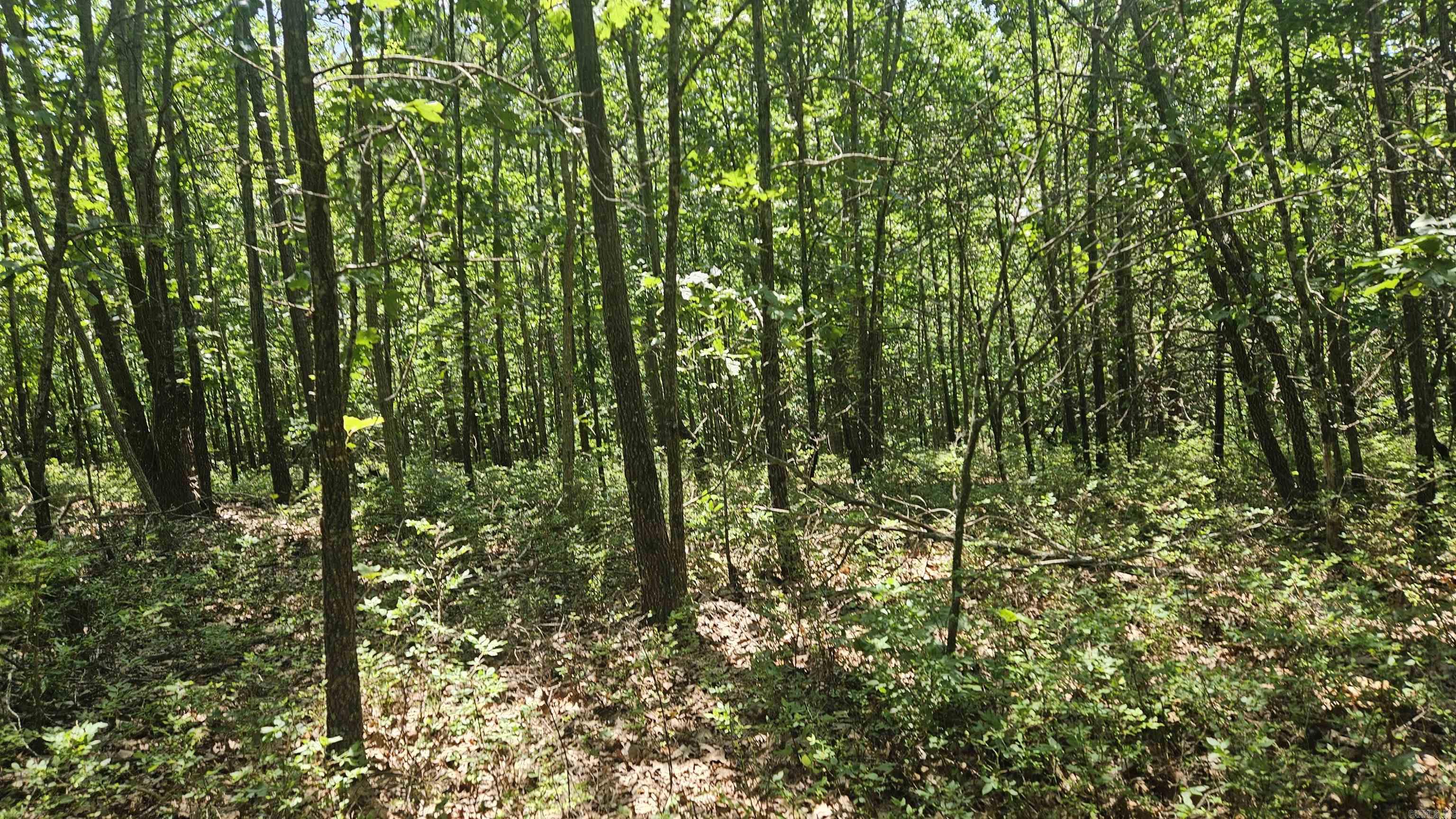 Ridgeview Estates - Land