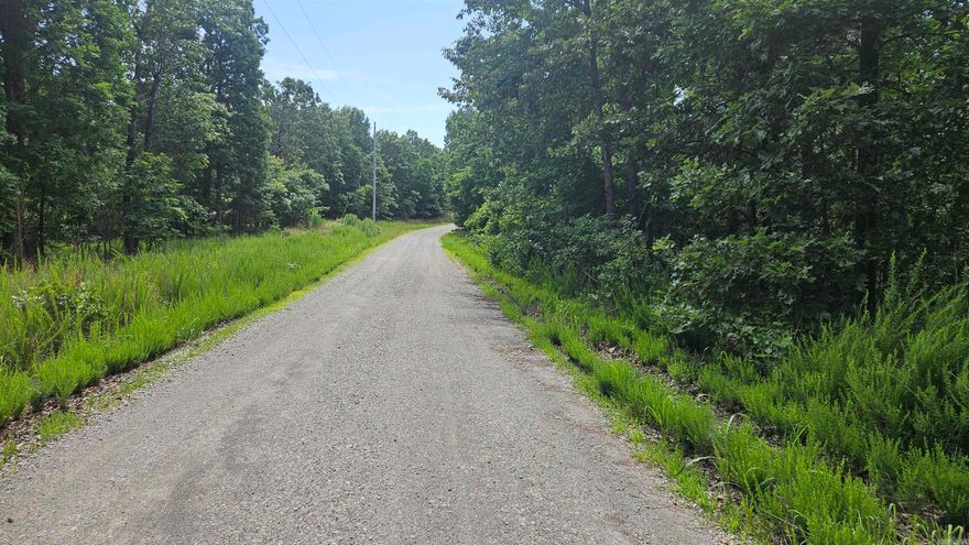 20 +/- acres of recreational timberland in the beautiful Arkansas Ozarks! Located just minutes from the only working ferry in the state and Hwy 125 State Park and Marina on Bull Shoals Lake, this property is perfect for outdoor enthusiasts, hunters, and lovers of fishing, boating, and watersports. The land offers an abundance of wildlife including whitetail deer, wild turkey, black bear, and various small game, making it an ideal hunting retreat or peaceful nature escape. County road frontage provides year-round access, and power, phone, and internet are available, making building your dream cabin, home, simple and convenient.  Enjoy privacy without isolation—just 25 minutes to Yellville for groceries, 40 minutes to Harrison for shopping and healthcare, and 1 hour to Branson, MO for entertainment, dining, and attractions. This property offers excellent flexibility, convenience, and long-term value for recreation, living, or investment.