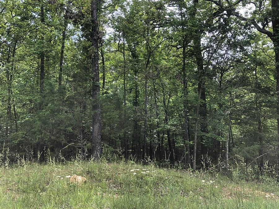 Unimproved side by side residential lots near Lake Sequoyah. This pair of beautifully wooded lots is just minutes from Lake Sequoyah and set back for privacy. Ownership gives you access to all of the Cherokee Village amenities; 7 lakes and 2 great rivers for fishing, boating, canoeing/kayaking, and swimming, 2 championship golf courses, several nature walking trails, recreation centers, numerous parks, near historic downtown Hardy.
