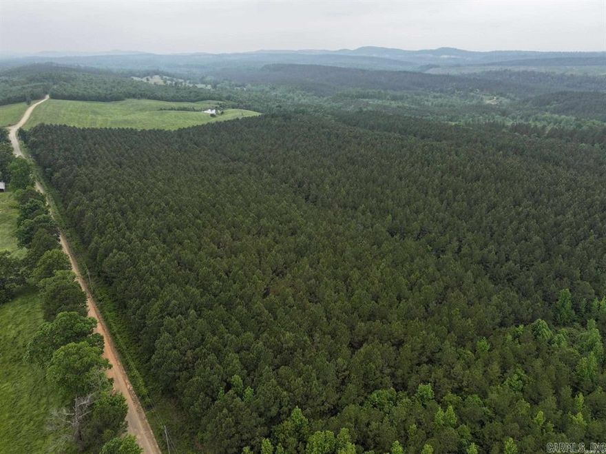 Nice Wooded 3 acres lying along Polk Road 13 with rural water and Electric available   This property is with in 3 miles of the Cossatot River State Park at the Sandbar swimming Hole.  This spot is a popular destination for water lovers to swim, canoe, or kayak the cossatot.  All this Cossatot River state park and the Ouachita National Forest can be accessed from this property by ATV's.  Restrictions apply.  Property to be surveyed