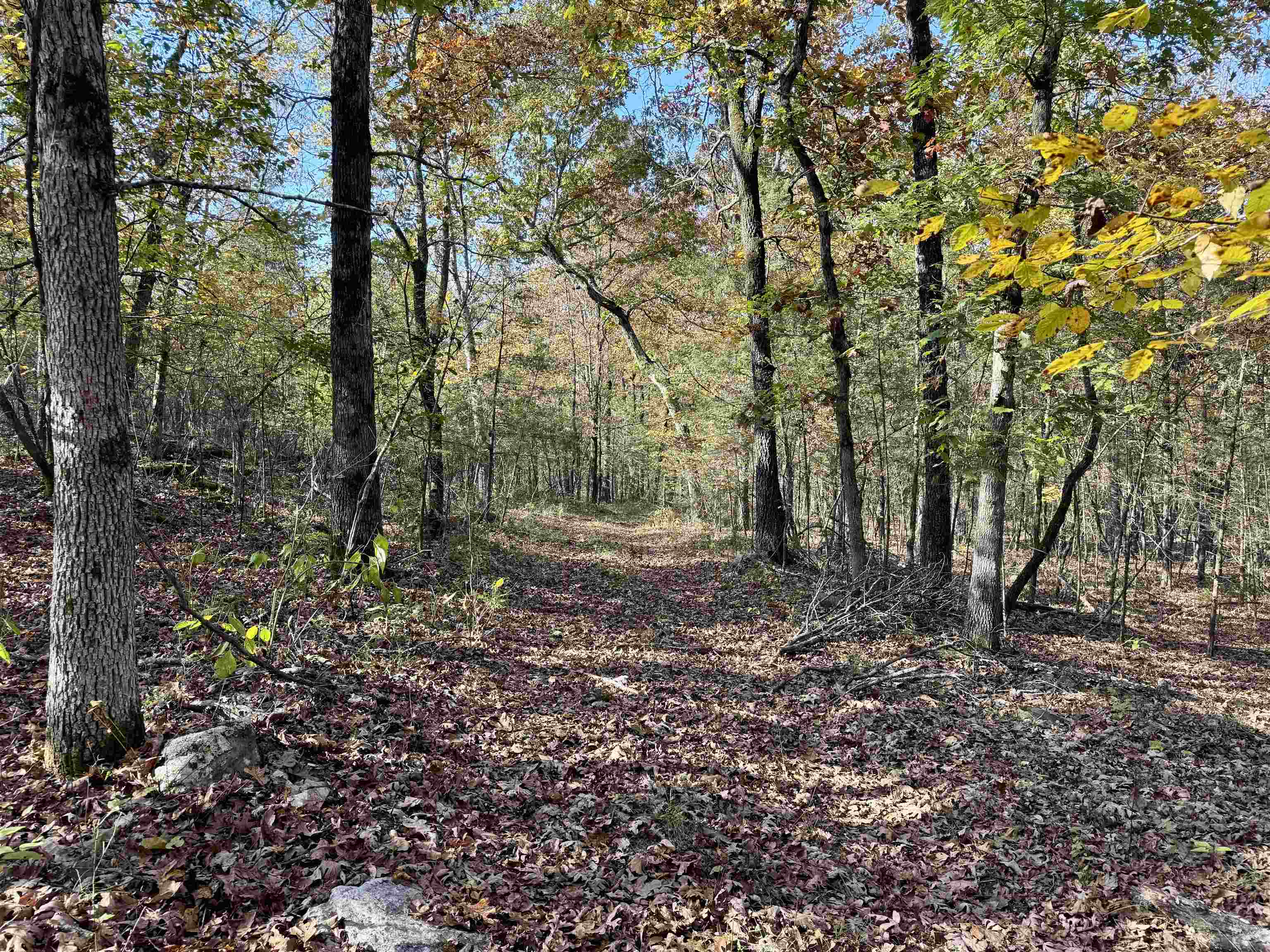 Metes & Bounds - Land