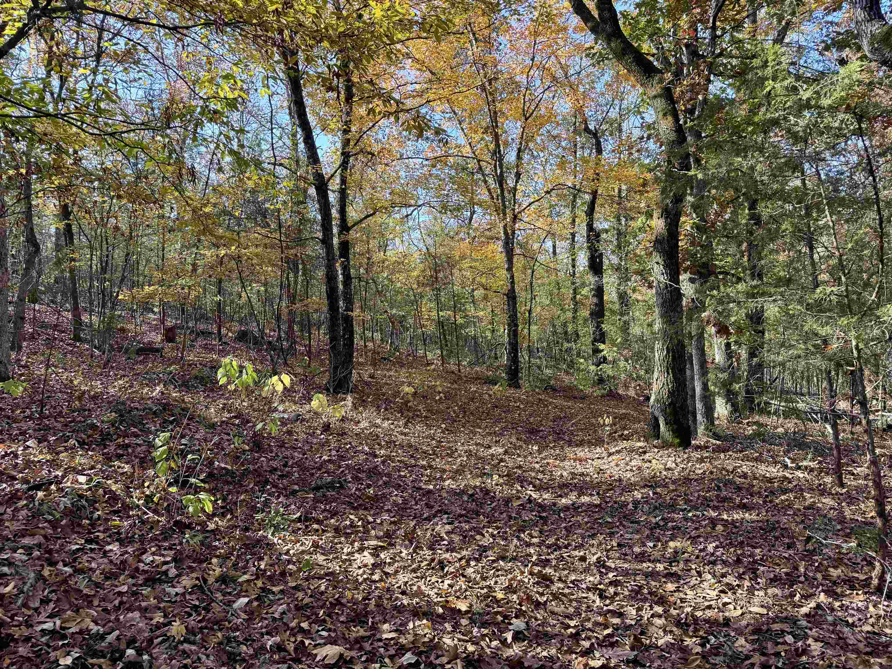 Metes & Bounds - Land