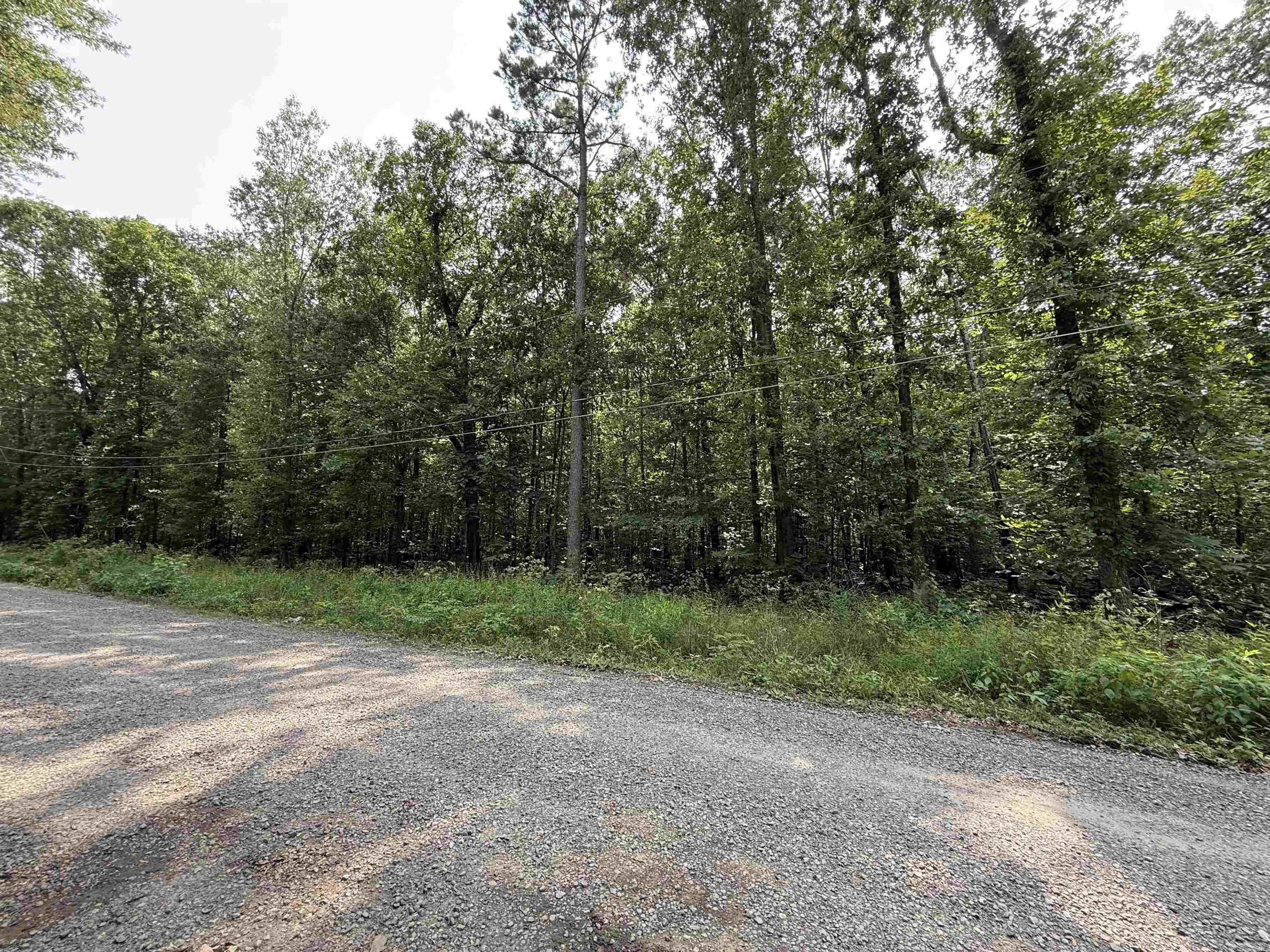 Wooded level lot great for building on. Utilities at the road.