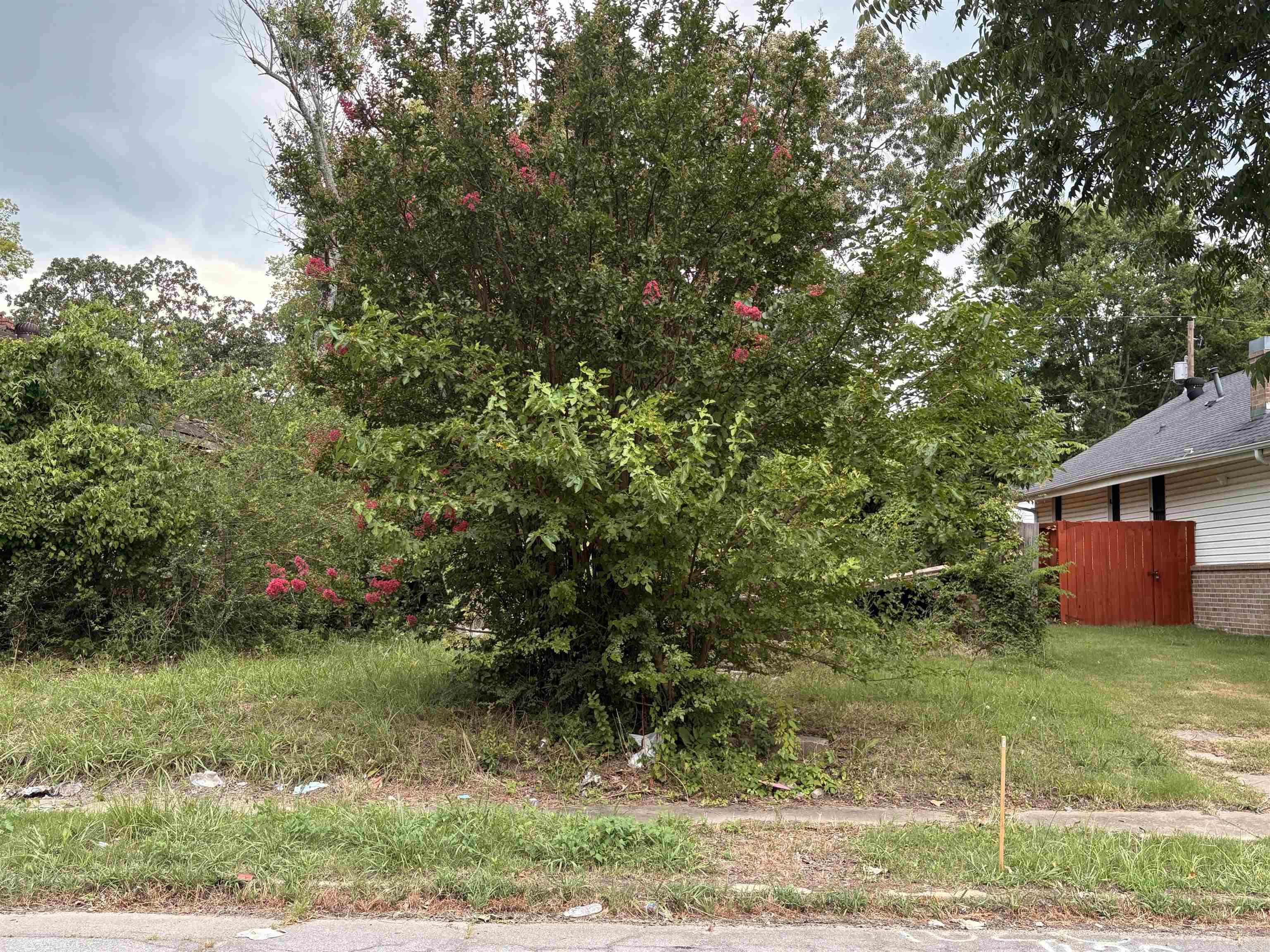 Cedar Heights - Land