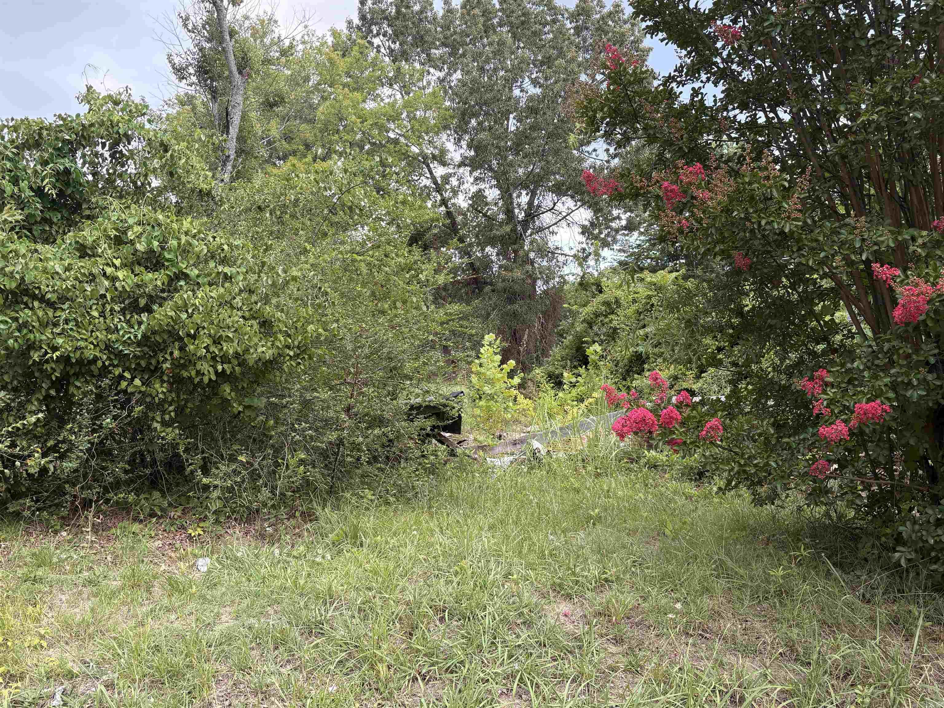 Cedar Heights - Land