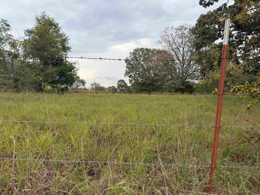 2426 CATABERRY RUN RD, OZARK, AR 72949 - Image c9fb695ce2cd0be86871a1fe2c322fb1/77780331