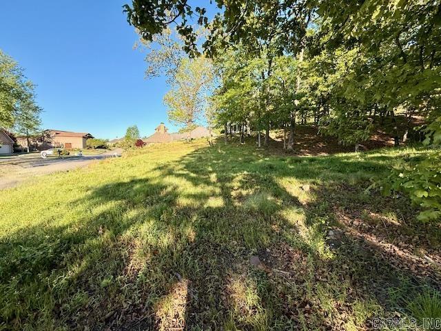 Turtle Creek Cove - Land